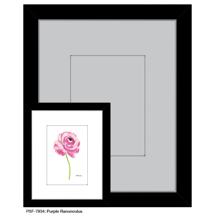 Purple Ranunculus, Print (#7934A) - Arte House