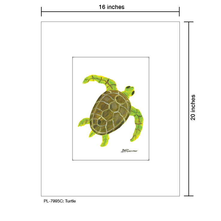 Turtle, Print (#7995C) - Arte House