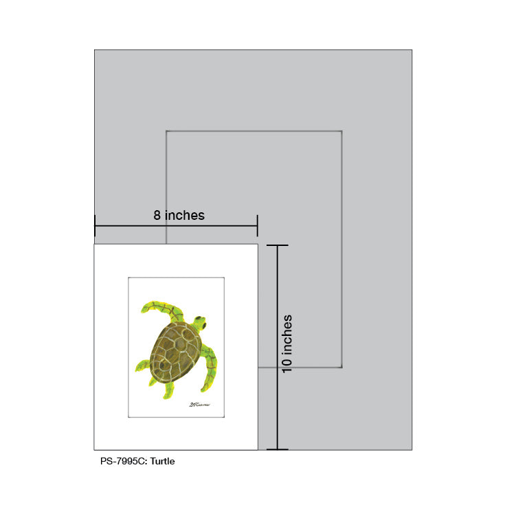 Turtle, Print (#7995C) - Arte House