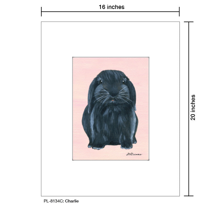 Charlie, Print (#8134C)