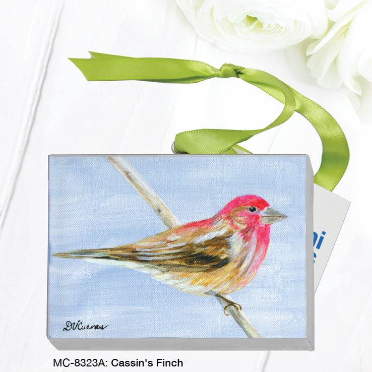 CassinÕs Finch, Mini Canvas (MC-8323A) - Arte House