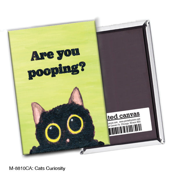Cats Curiosity, Magnet (M-8810CA) - Arte House