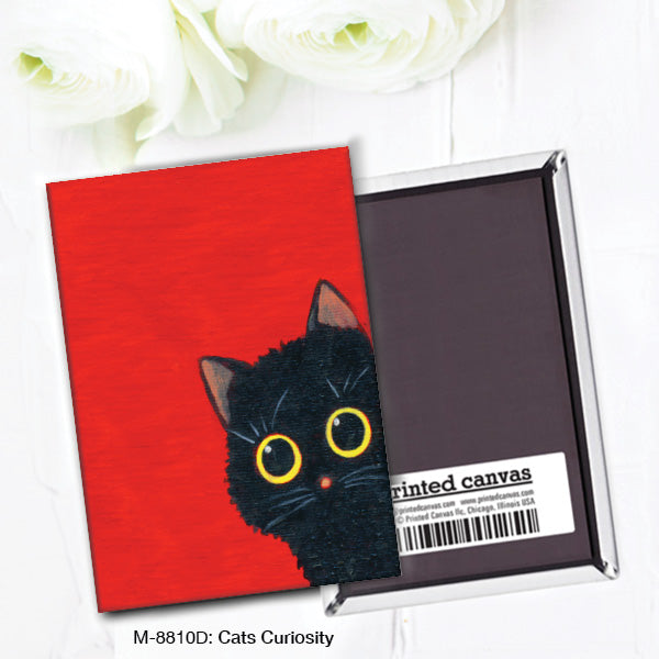 Cats Curiosity, Magnet (M-8810D)