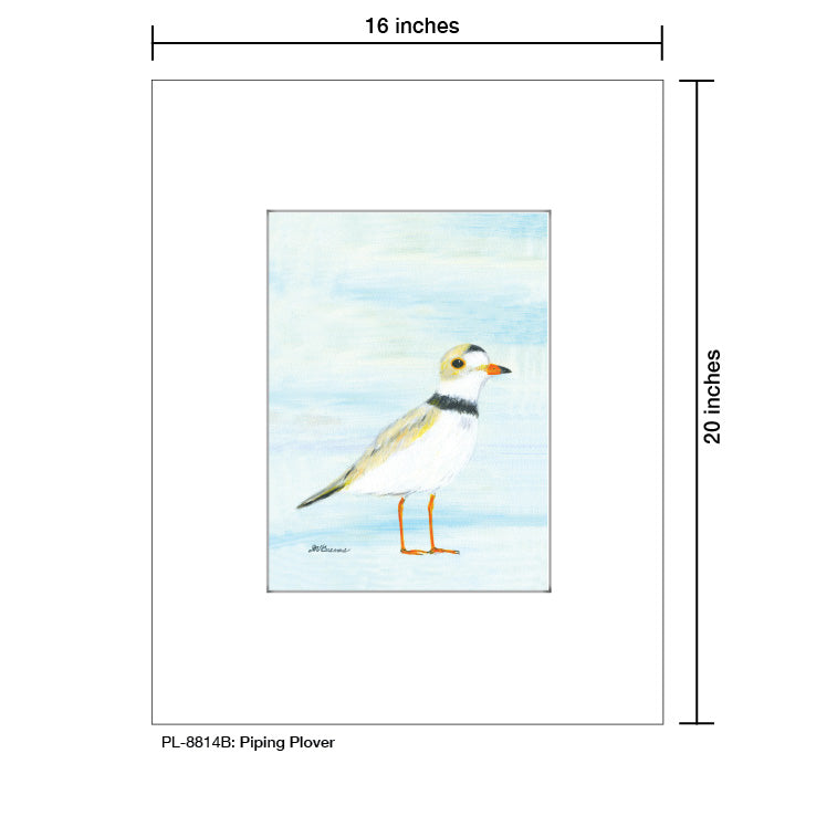 Piping Plover, Print (#8814B) - Arte House