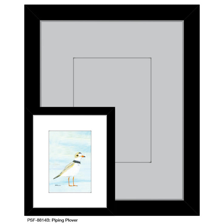 Piping Plover, Print (#8814B) - Arte House