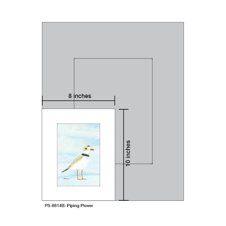 Piping Plover, Print (#8814B) - Arte House