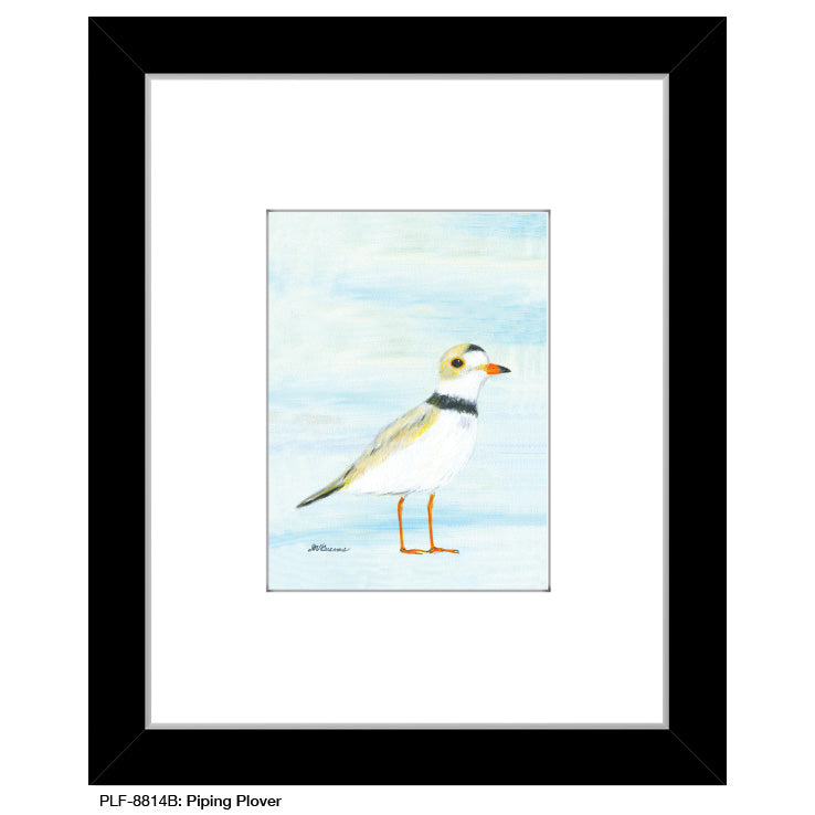 Piping Plover, Print (#8814B) - Arte House