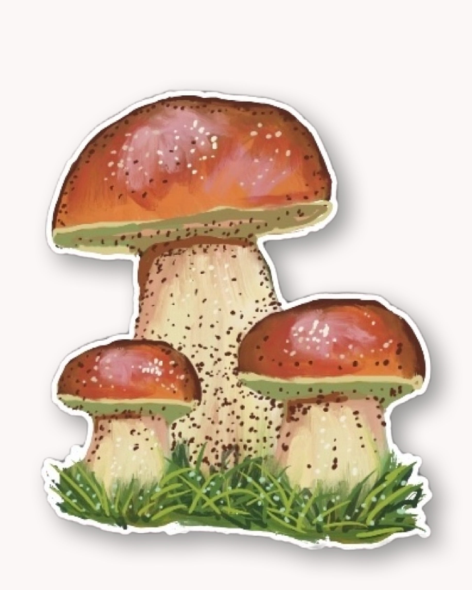Penny Bun Mushroom Sticker - Arte House