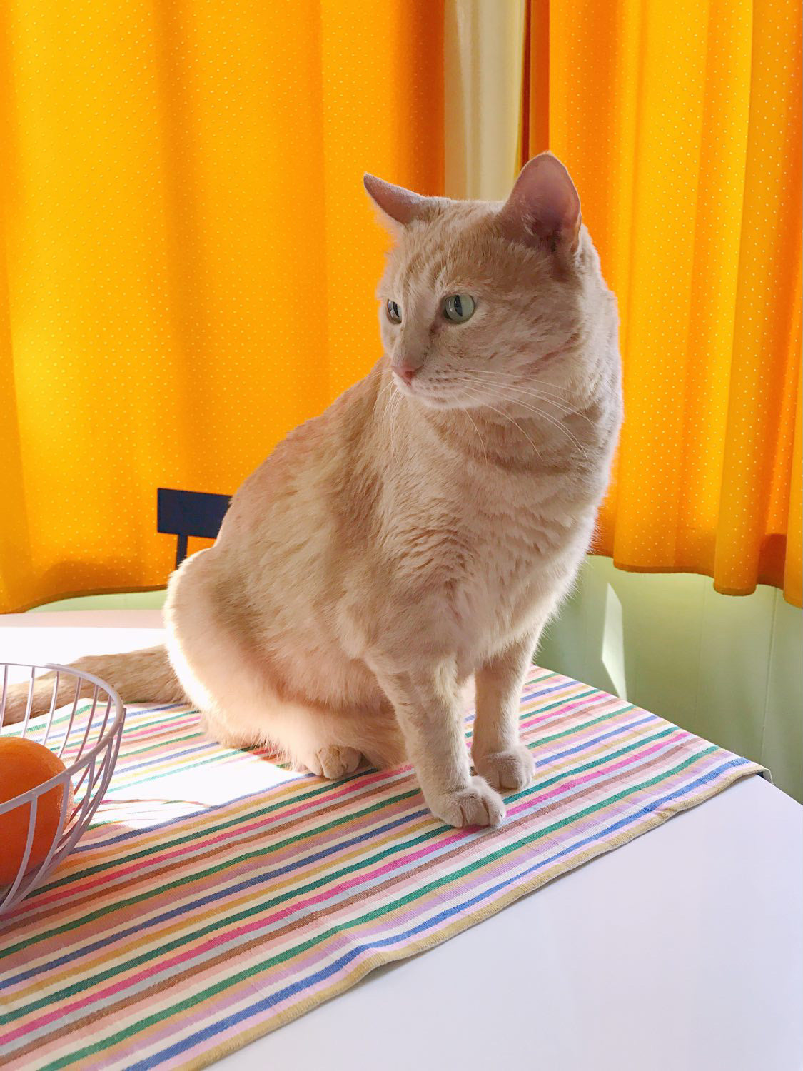 Valentina Rainbow Runner - Arte House