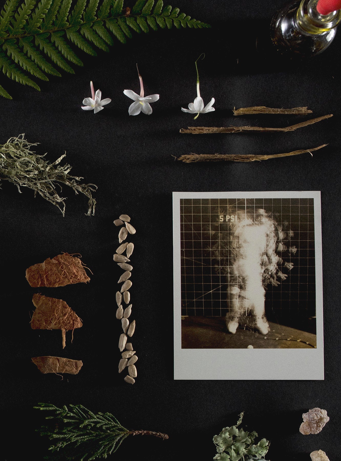 Mind and Body Wash Travel Size