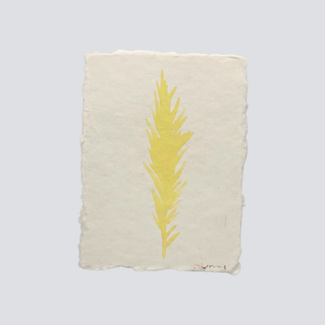 Medium Buttercup Yellow Angel Feather