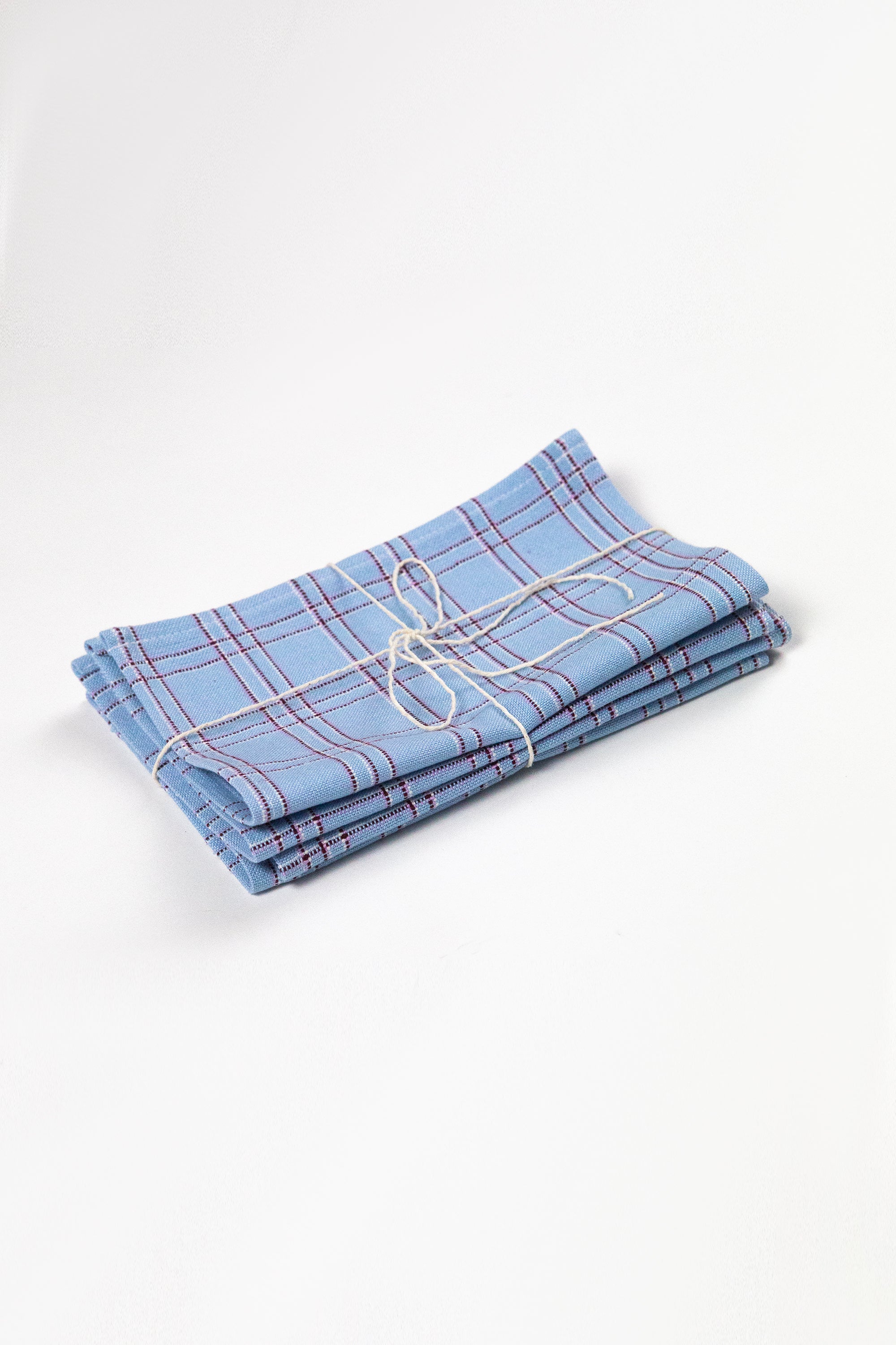 Chiapas Plaid Light Blue Cocktail Napkins Set of 4 - Arte House