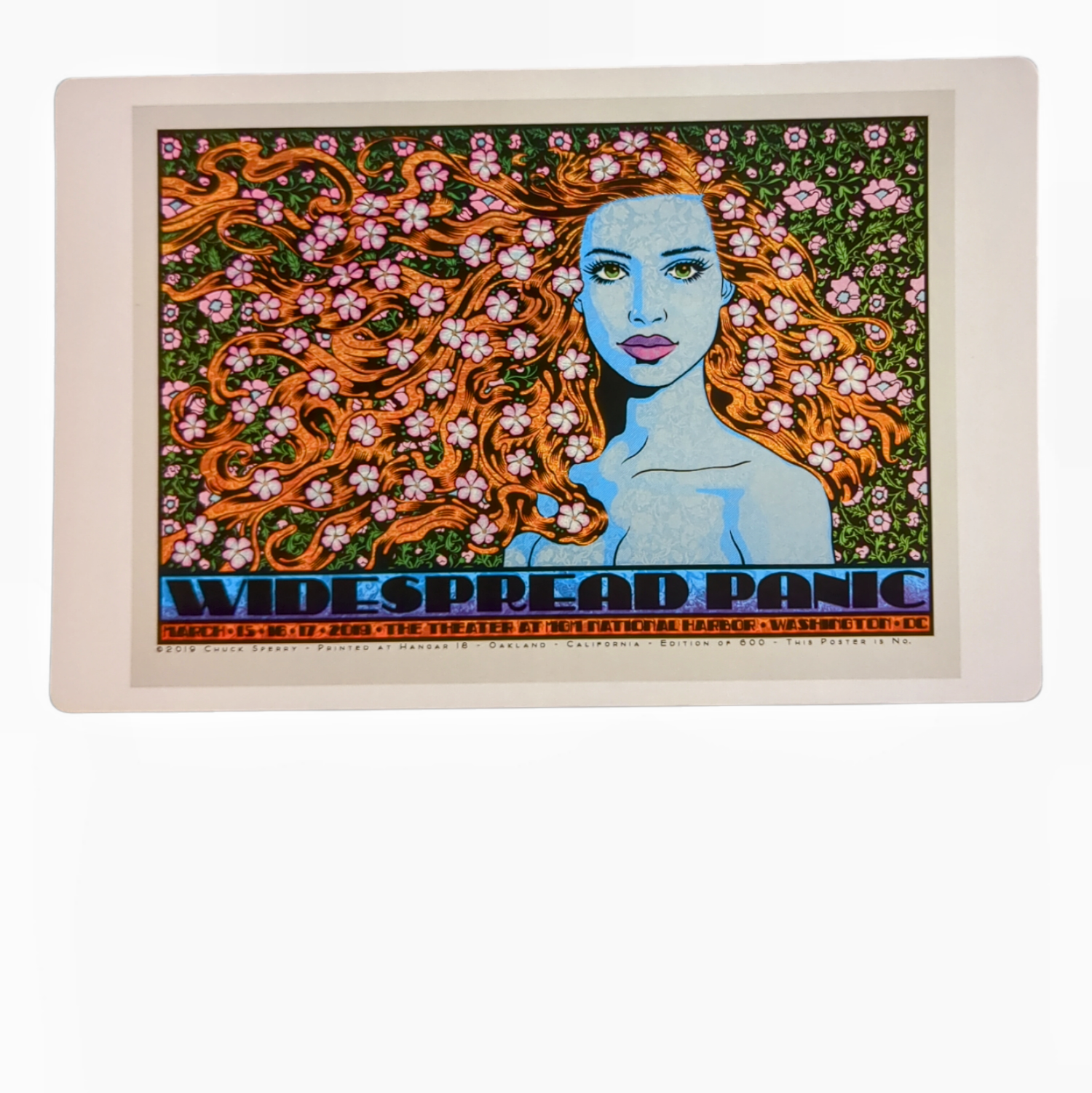 Chuck Sperry Widespread Panic, Washington D.C. 2019 Art Card - Arte House