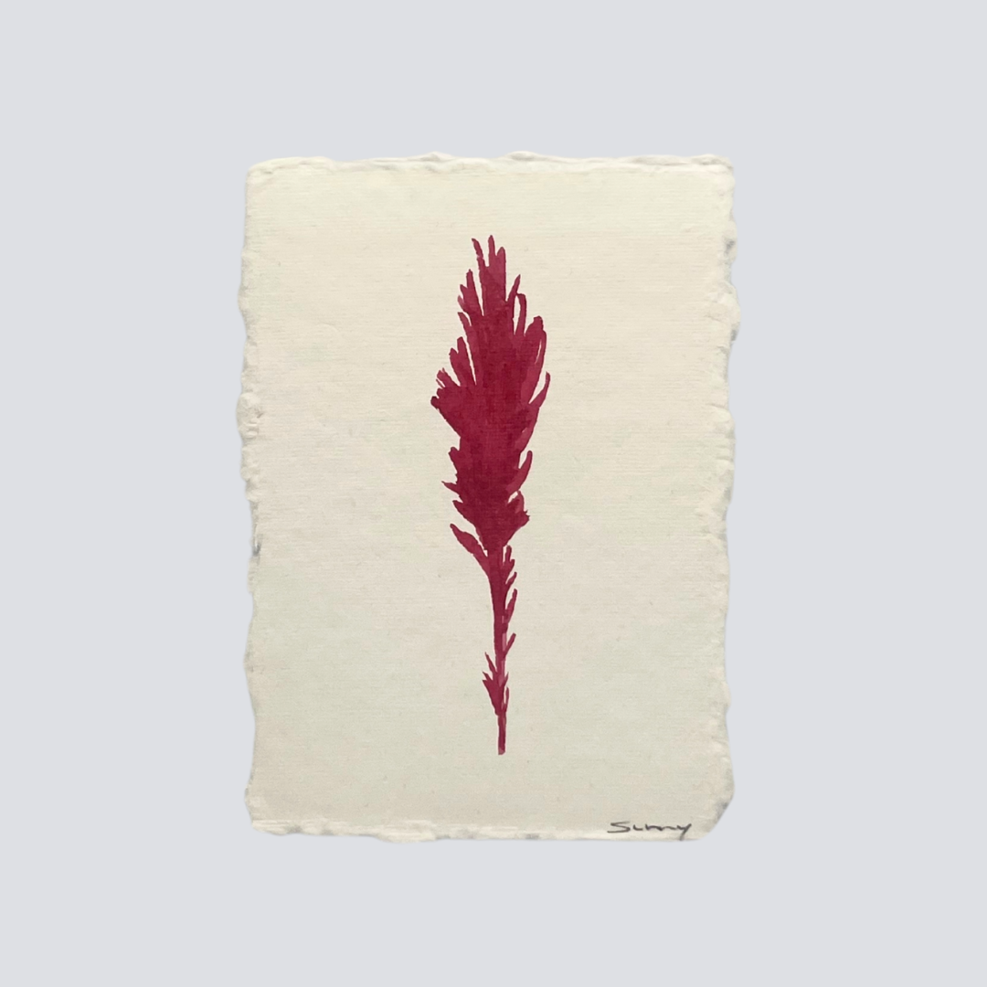 Medium Cranberry Angel Feather