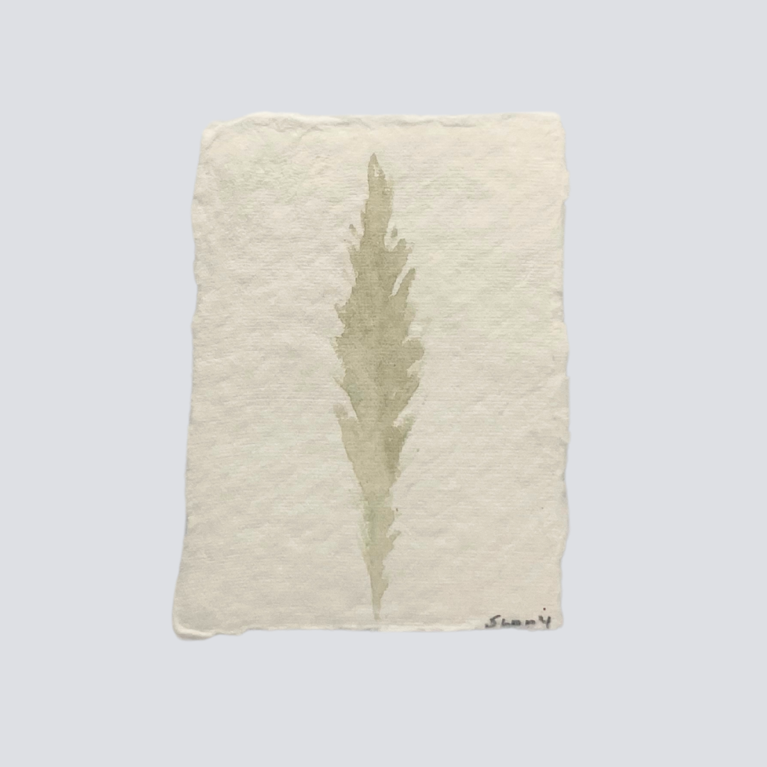 Medium Pale Sage Angel Feather