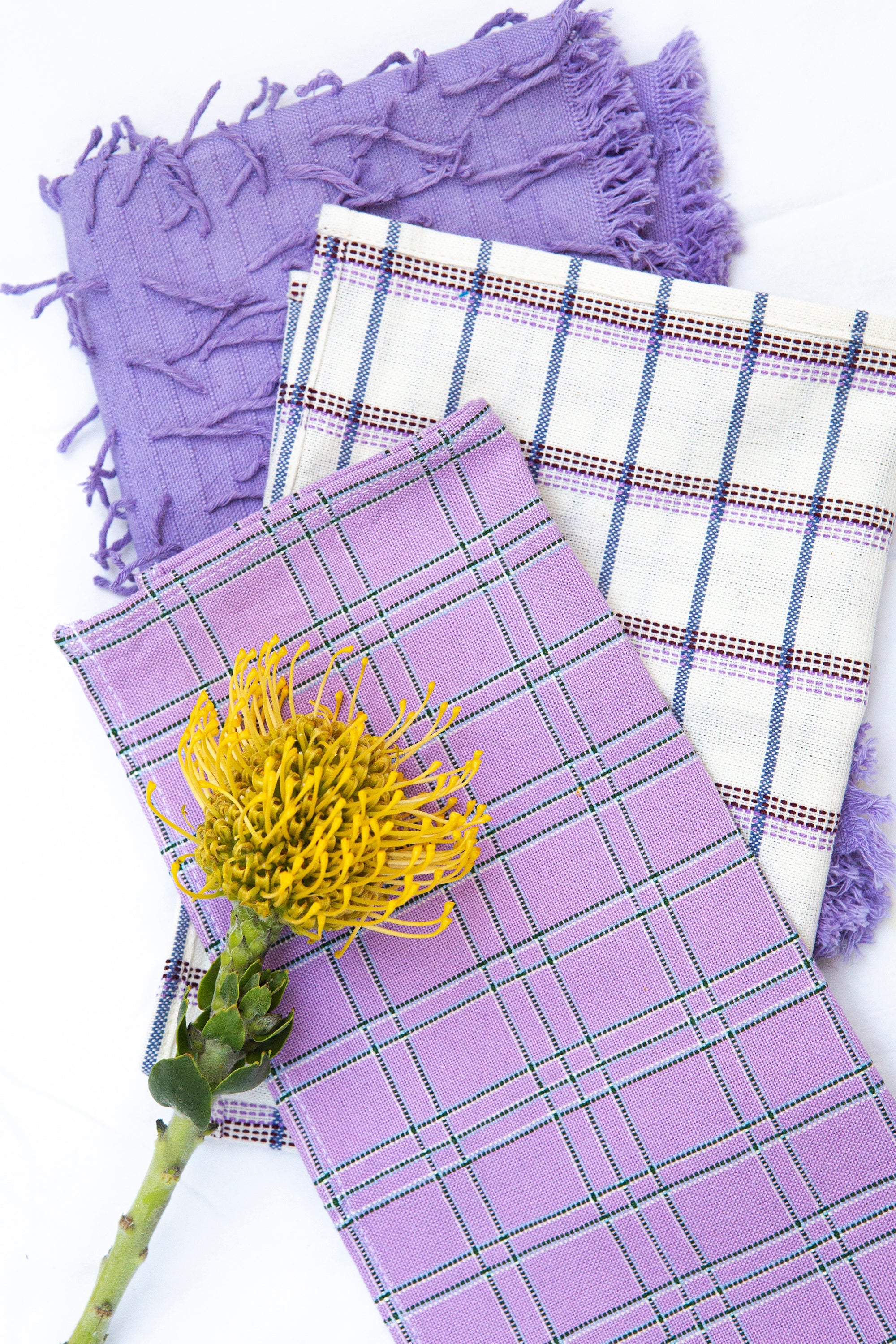 San Lucas Plaid White Cocktail Napkins Set of 4 - Arte House