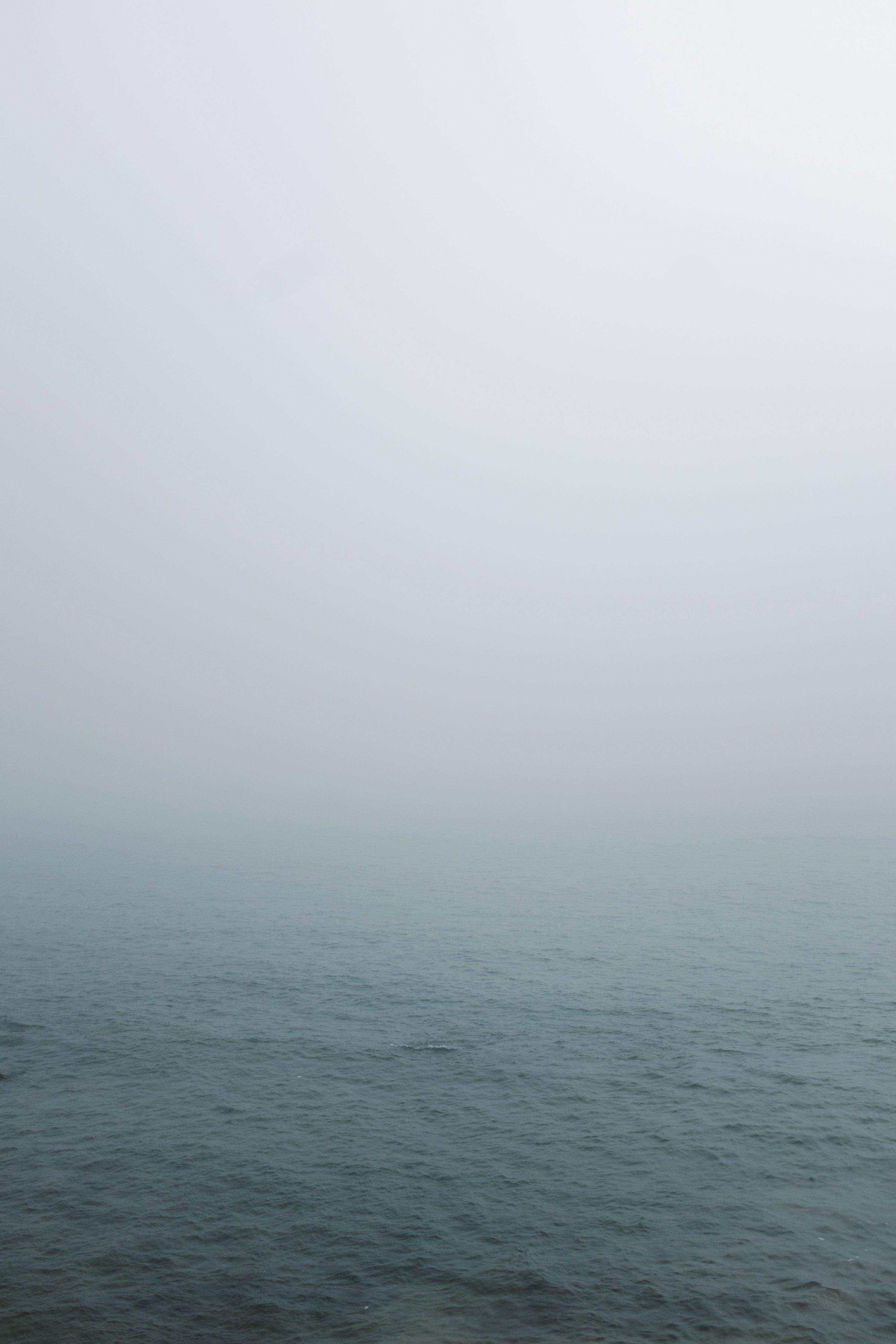 Foggy Morning