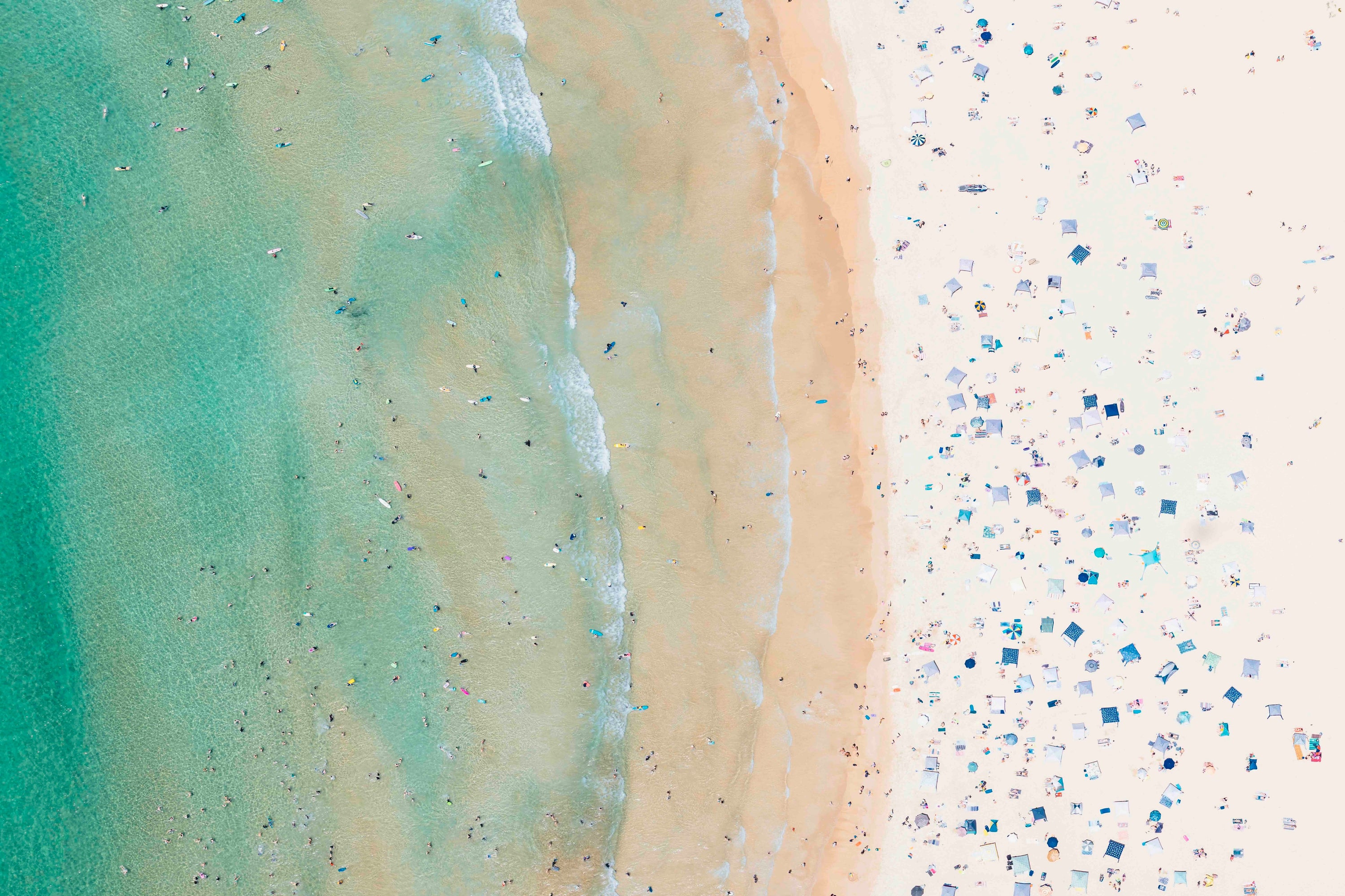 Freshwater Beach - Arte House