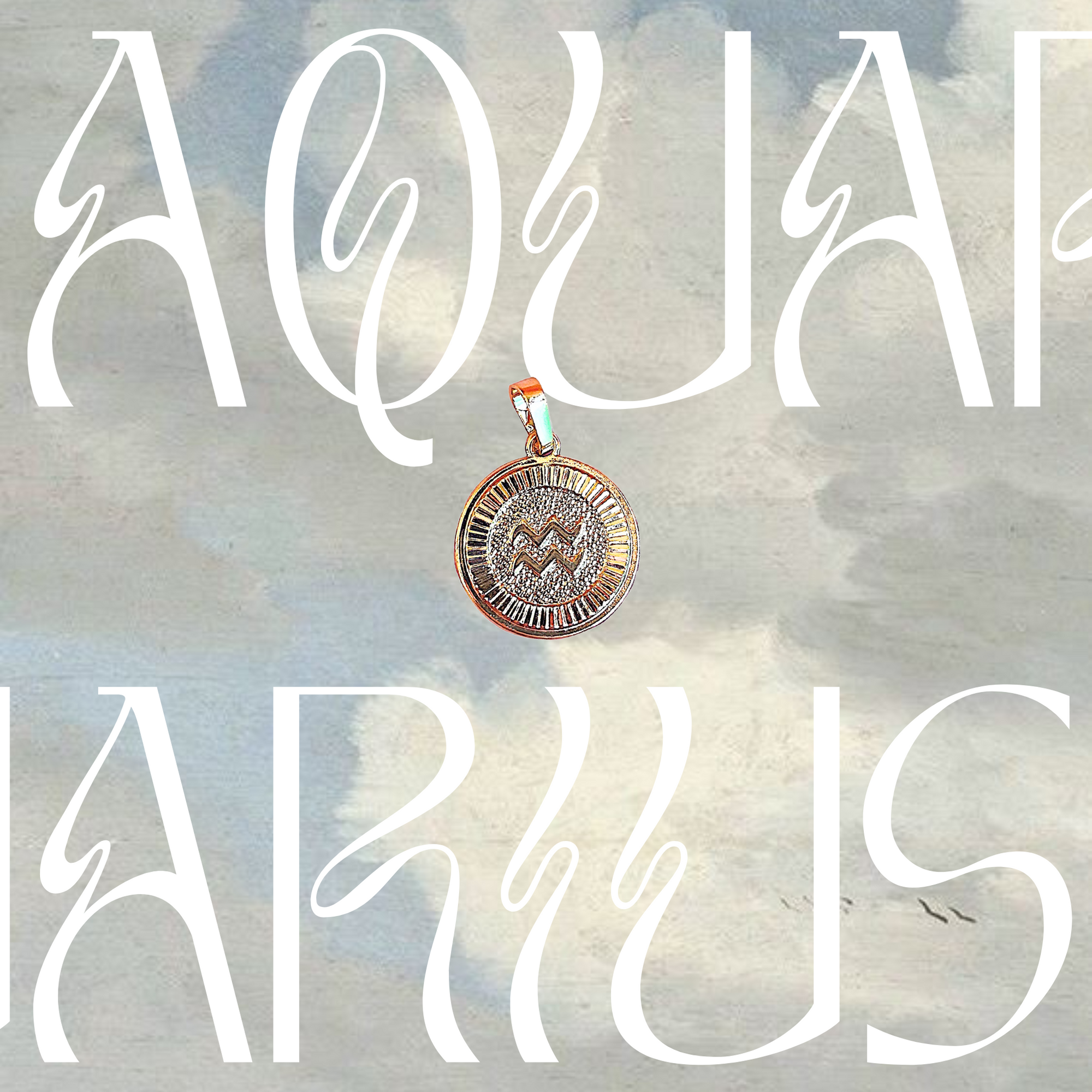 Zodiac Coin Charm - Arte House