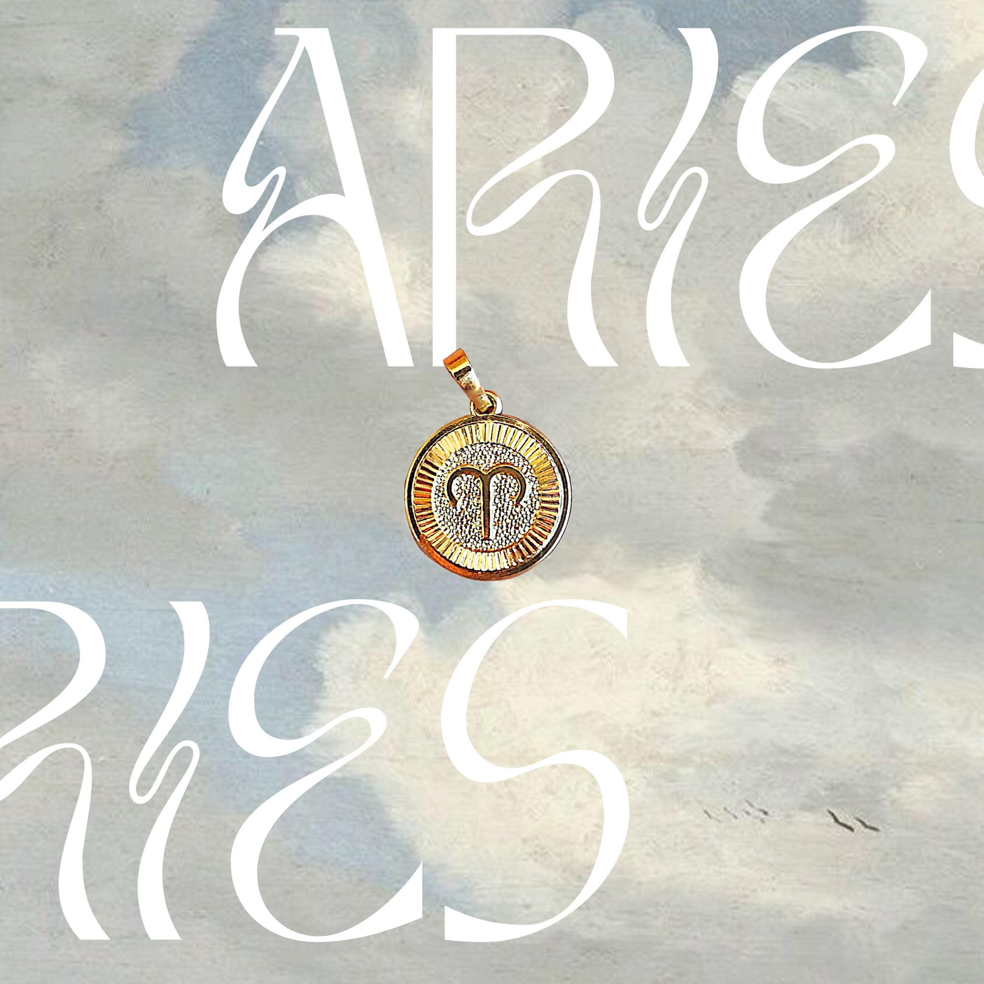 Zodiac Coin Charm - Arte House