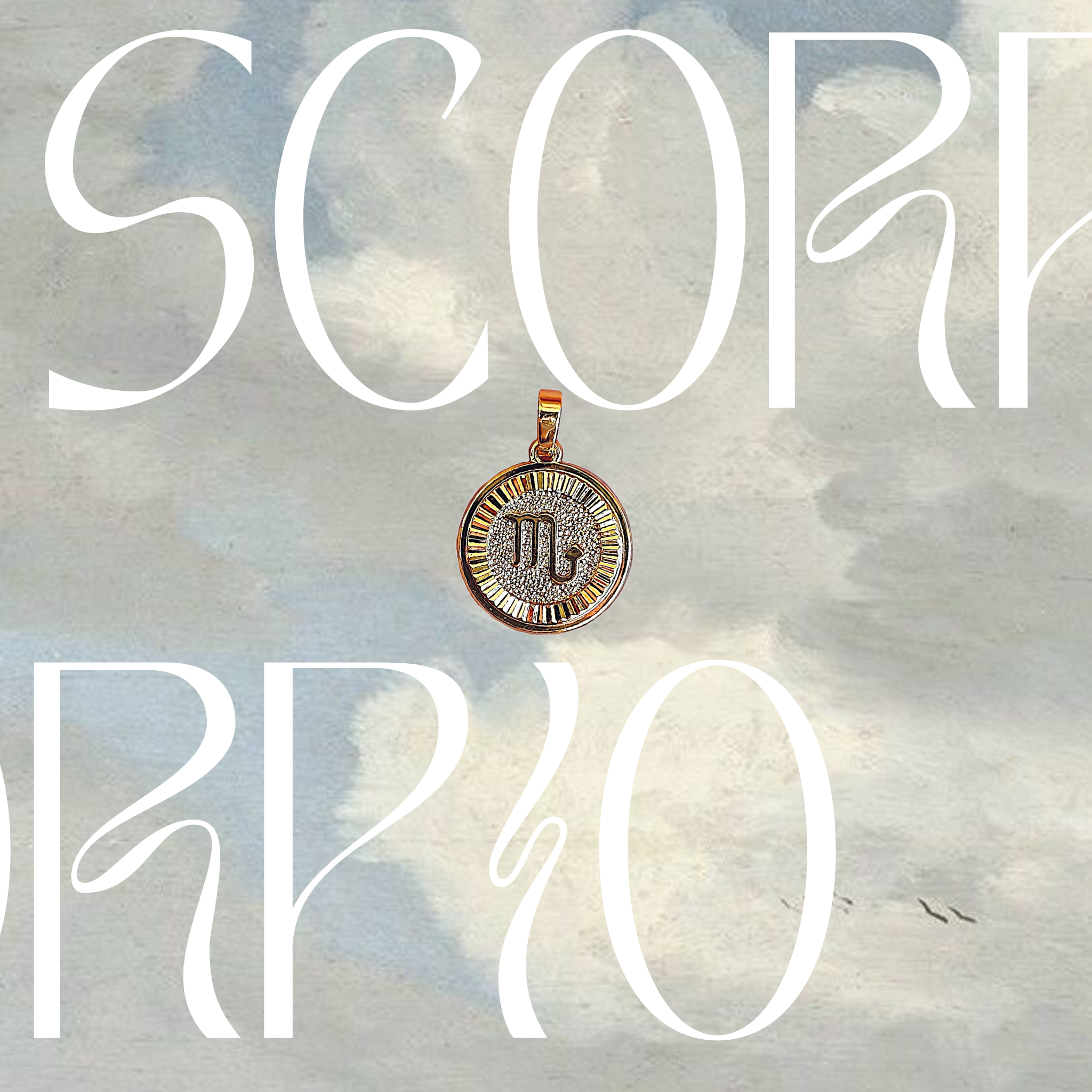 Zodiac Coin Charm - Arte House