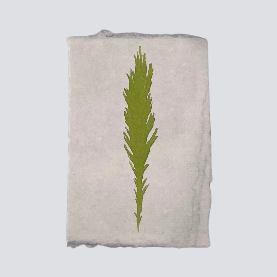 Large Moss Green Angel Feather