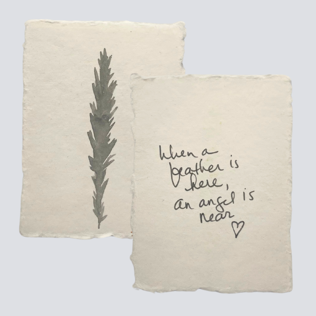 Medium Stone Grey Angel Feather