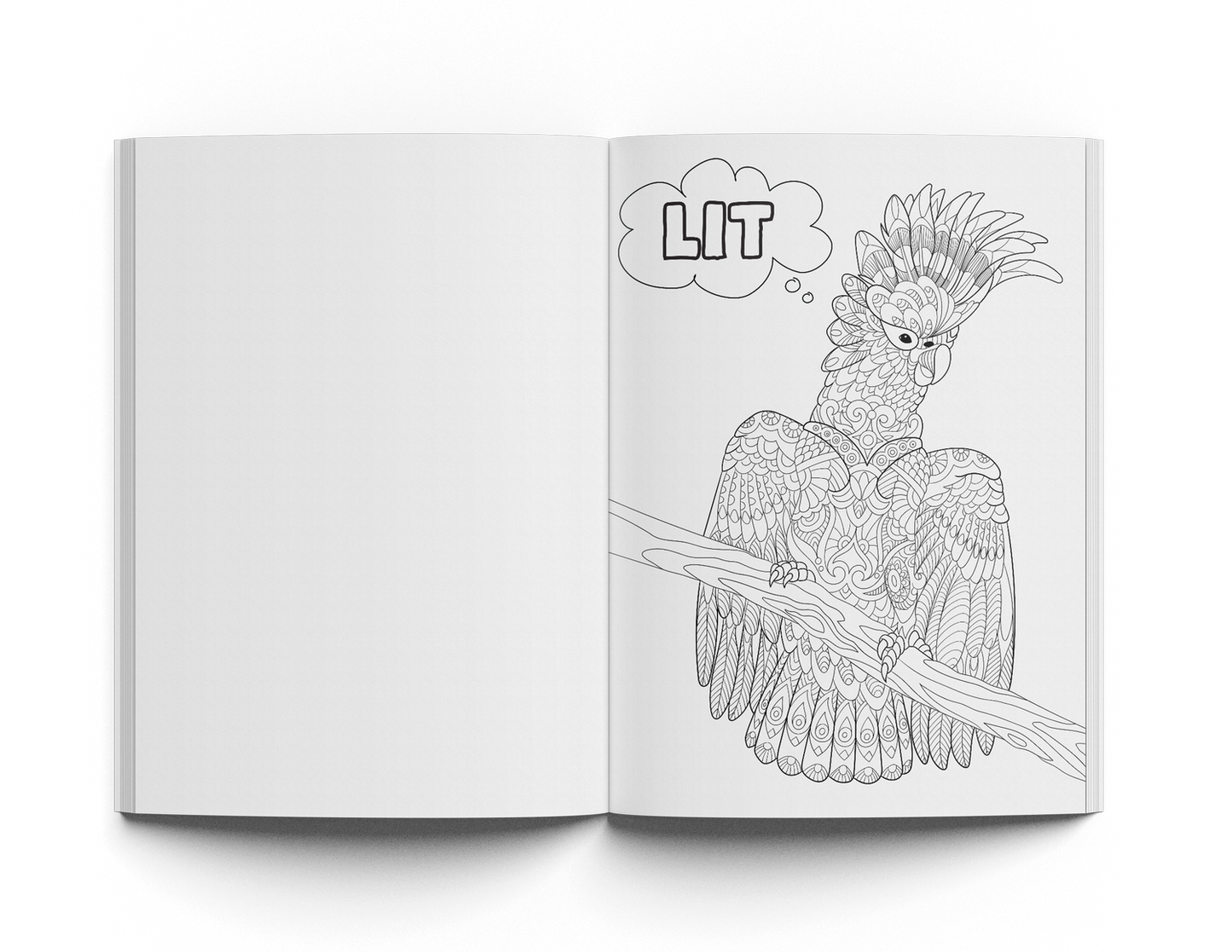 420 Bundle (2x Journals 1&2 + 2x Coloring 1&2 + 2x Sticks + 2x Notes + 2x Pencils)