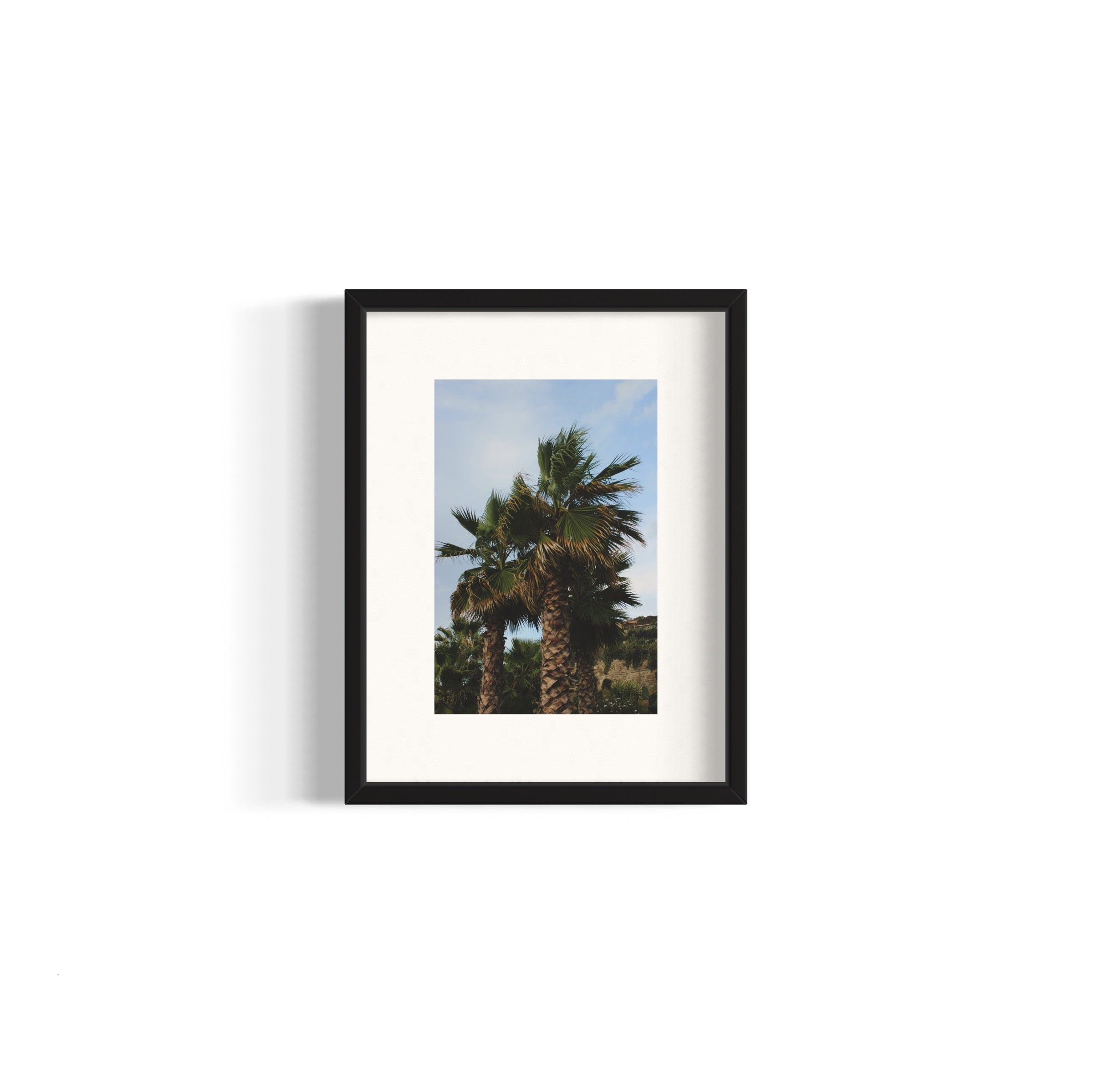 Tropical Club