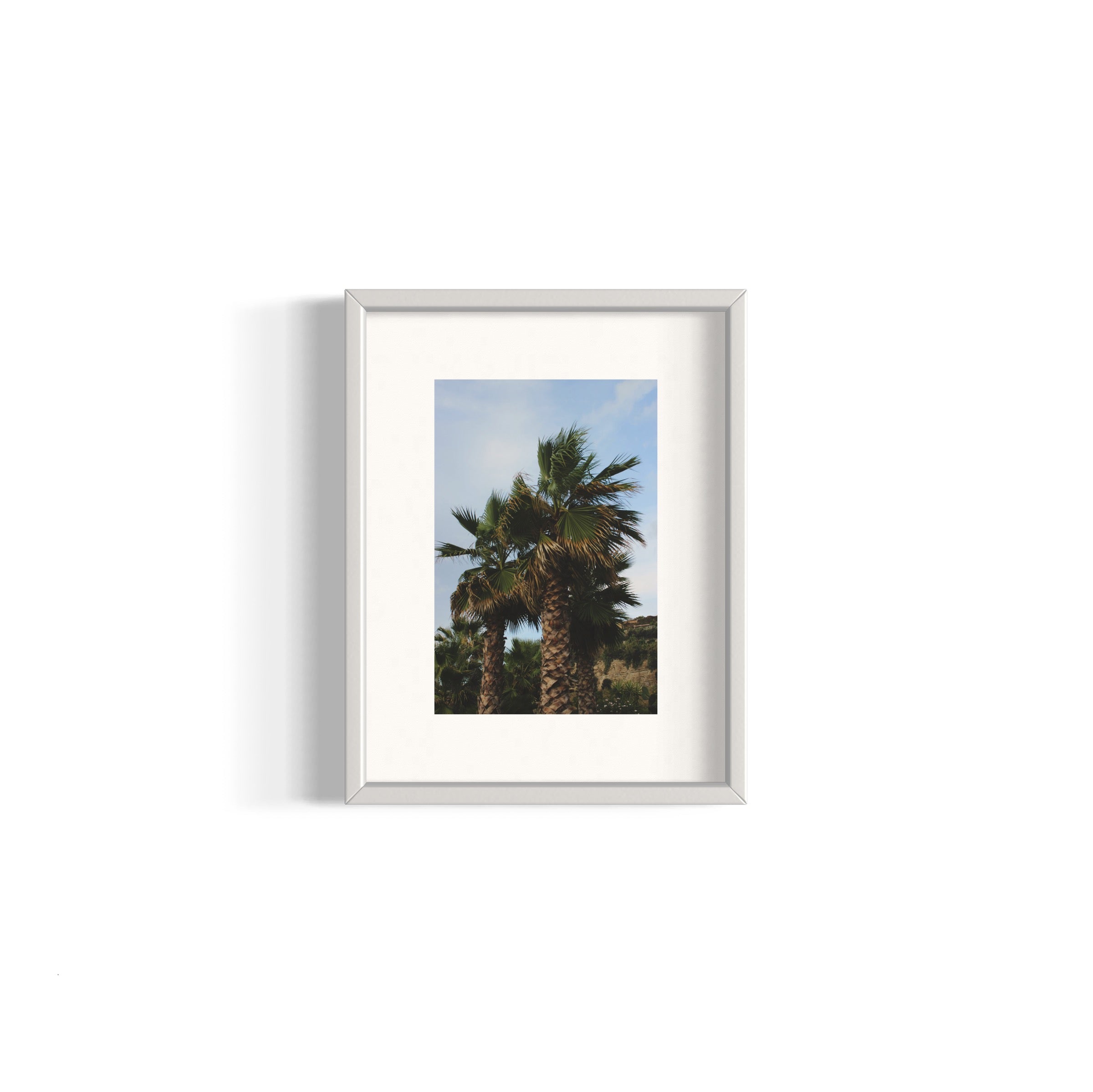 Tropical Club