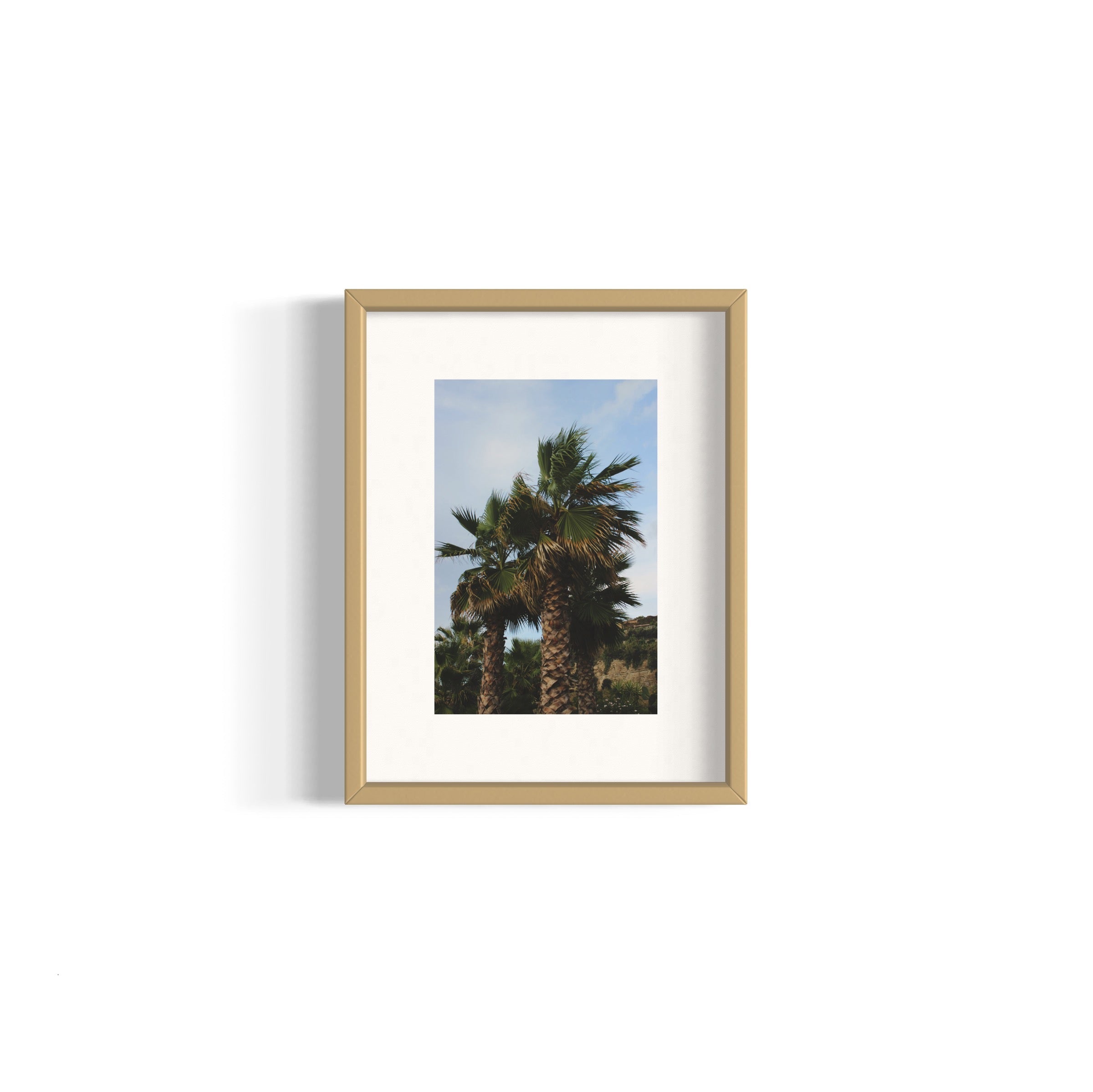 Tropical Club