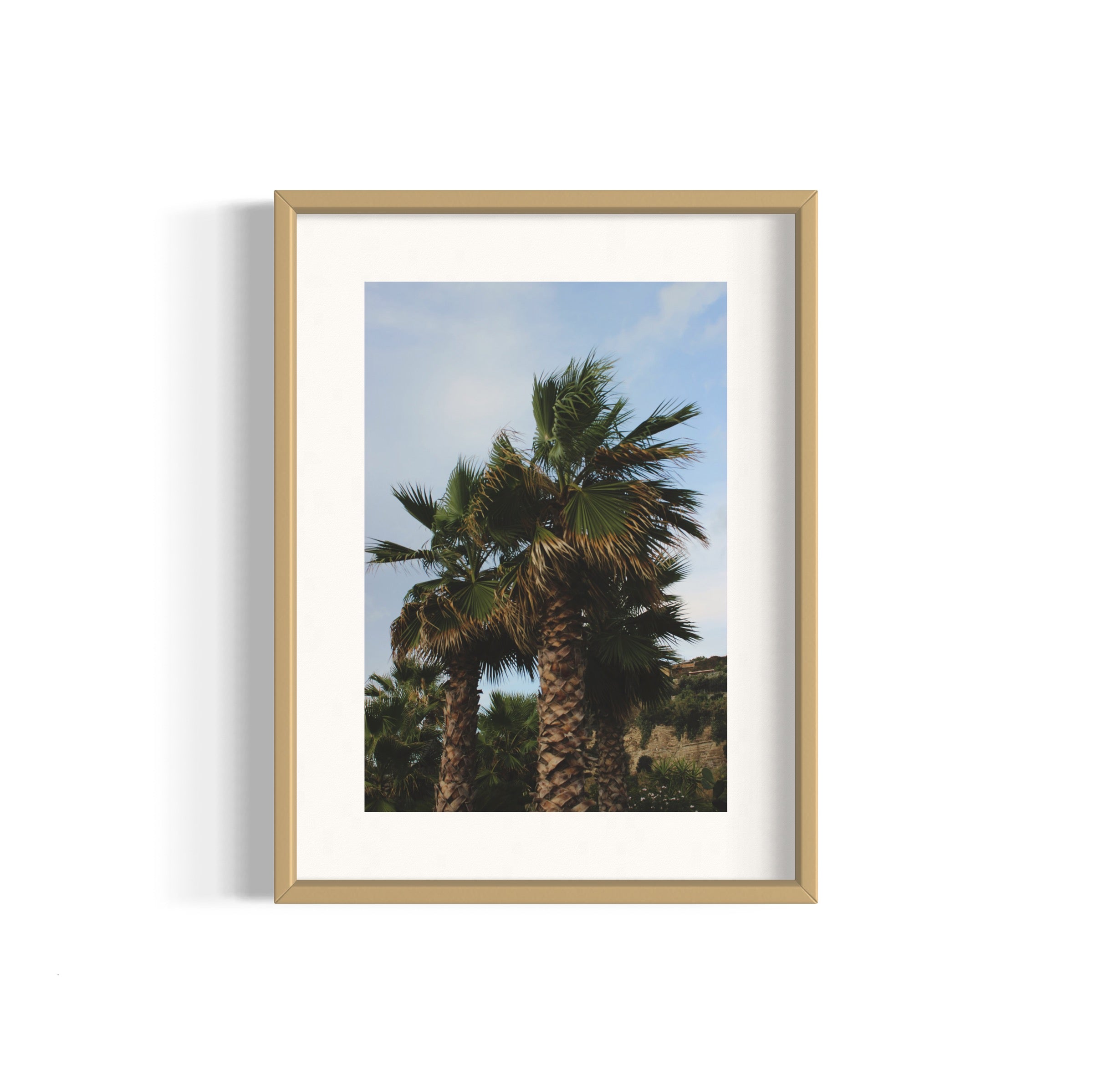 Tropical Club