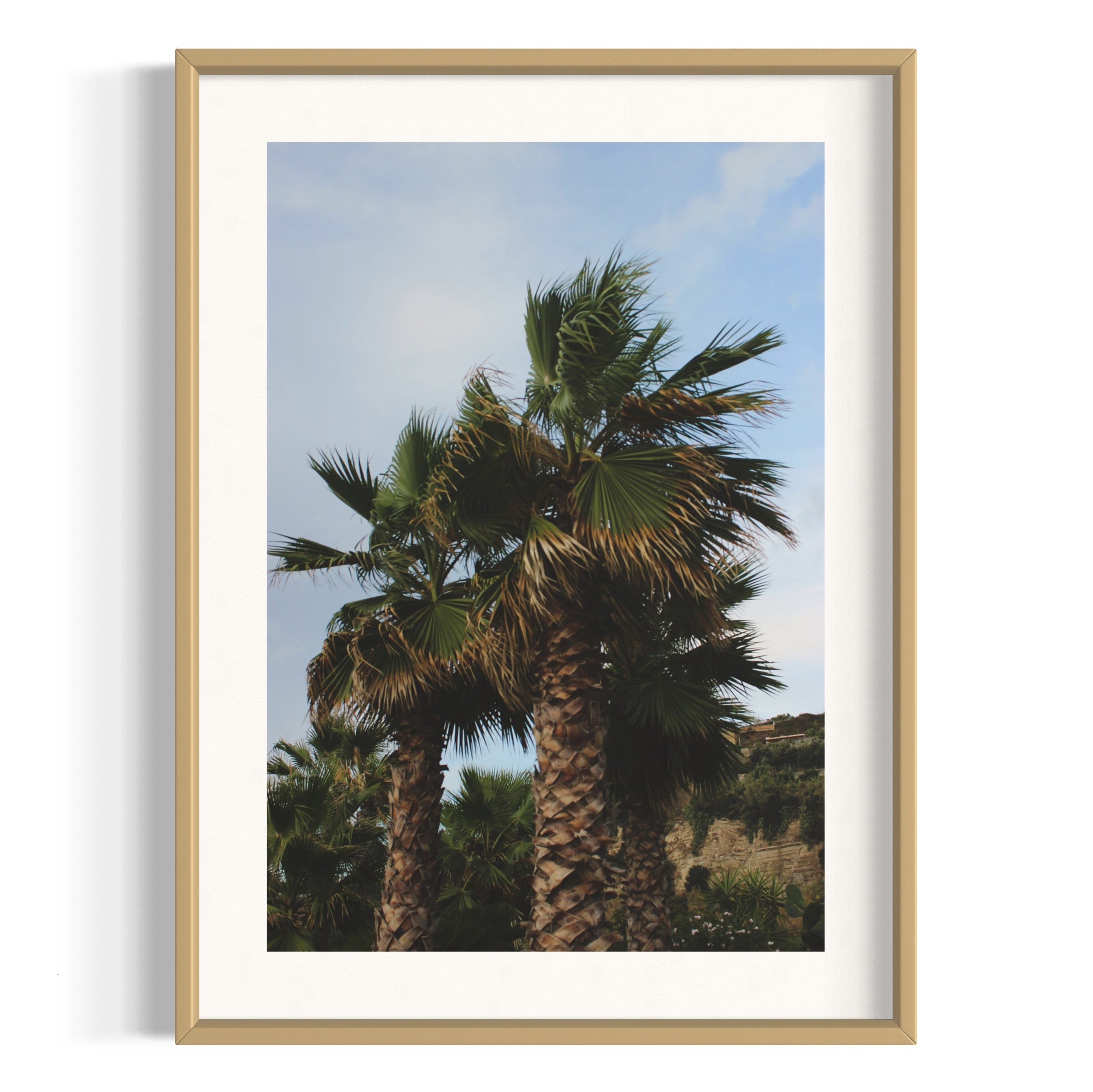 Tropical Club