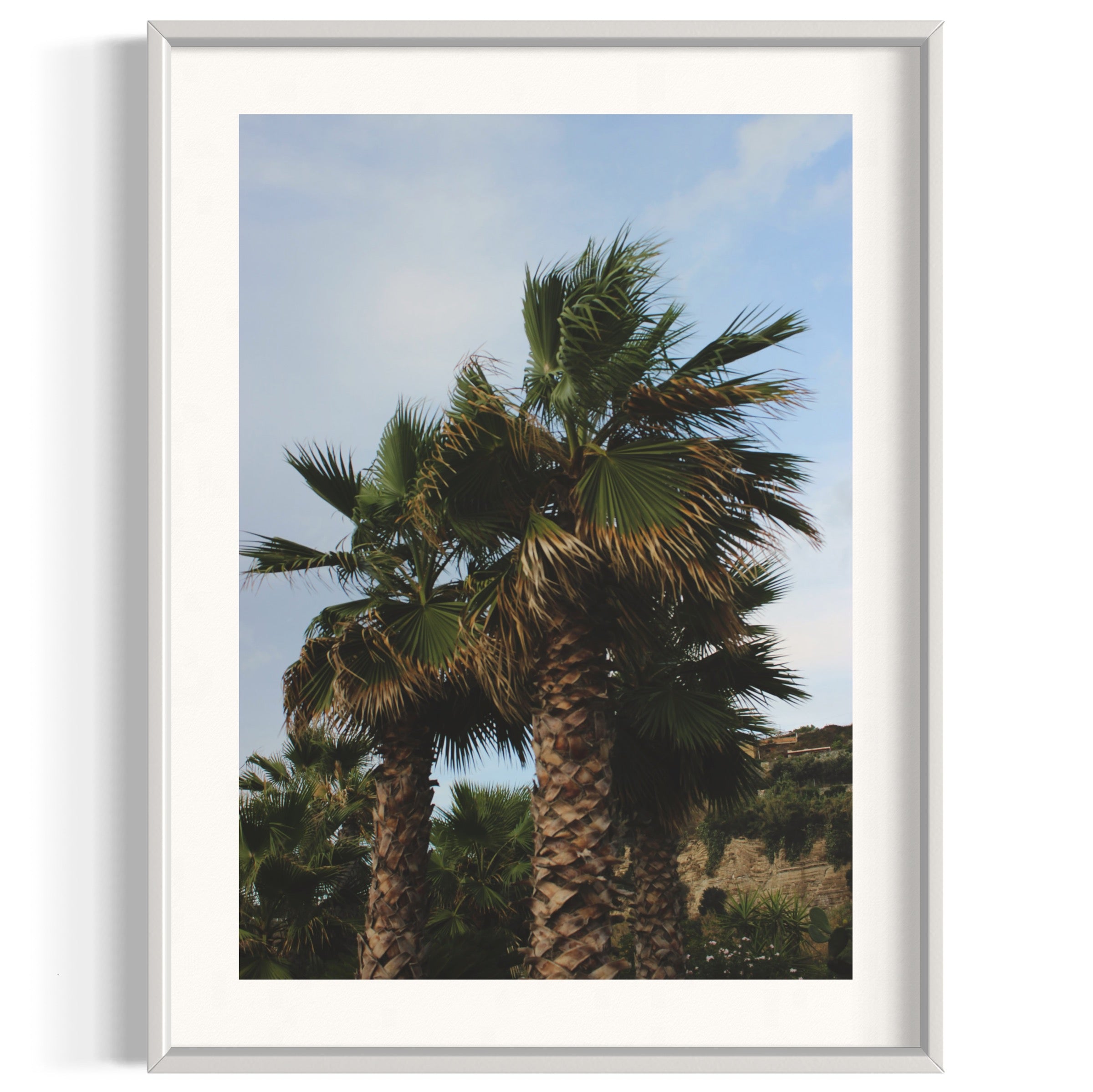 Tropical Club