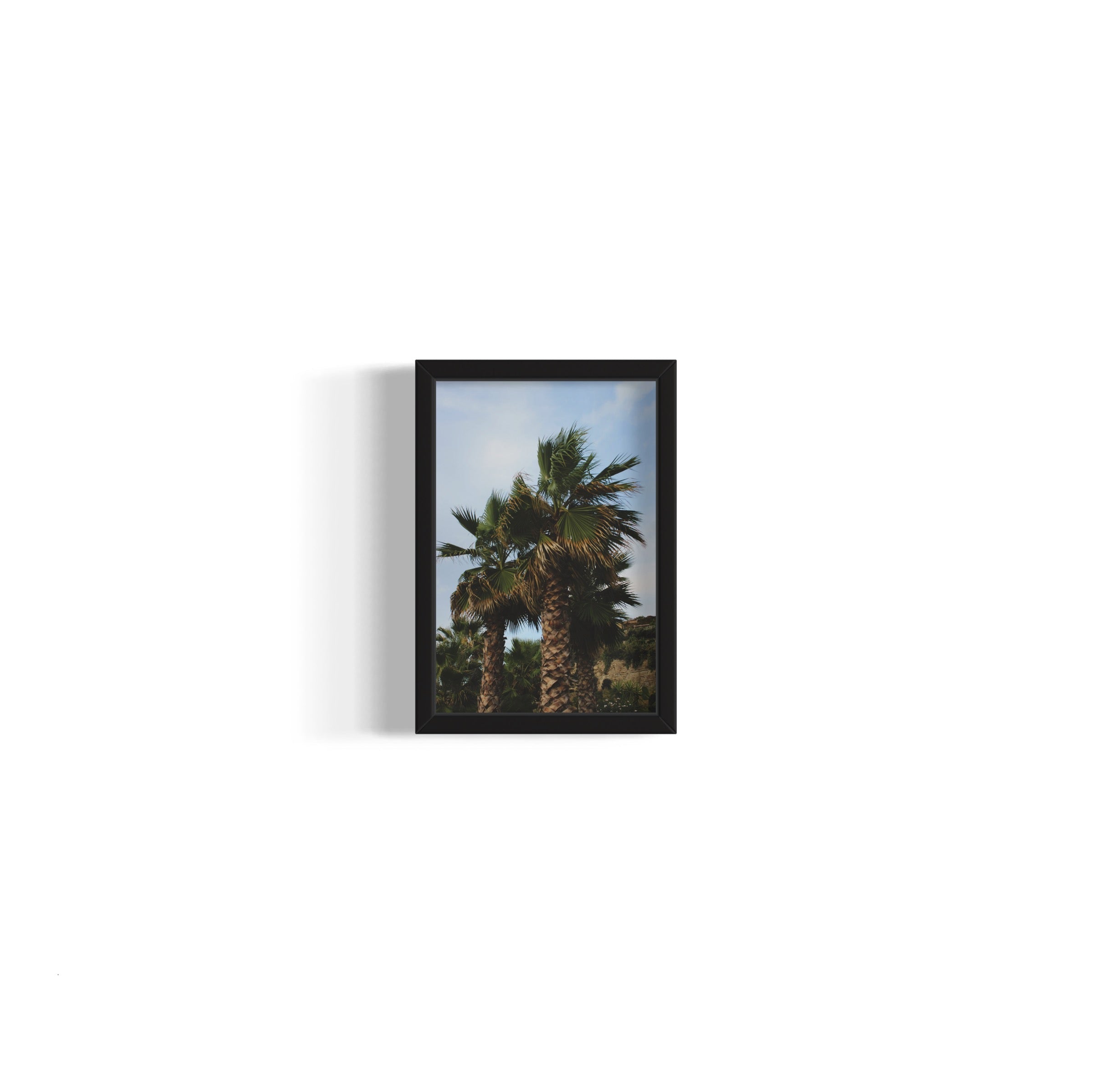Tropical Club