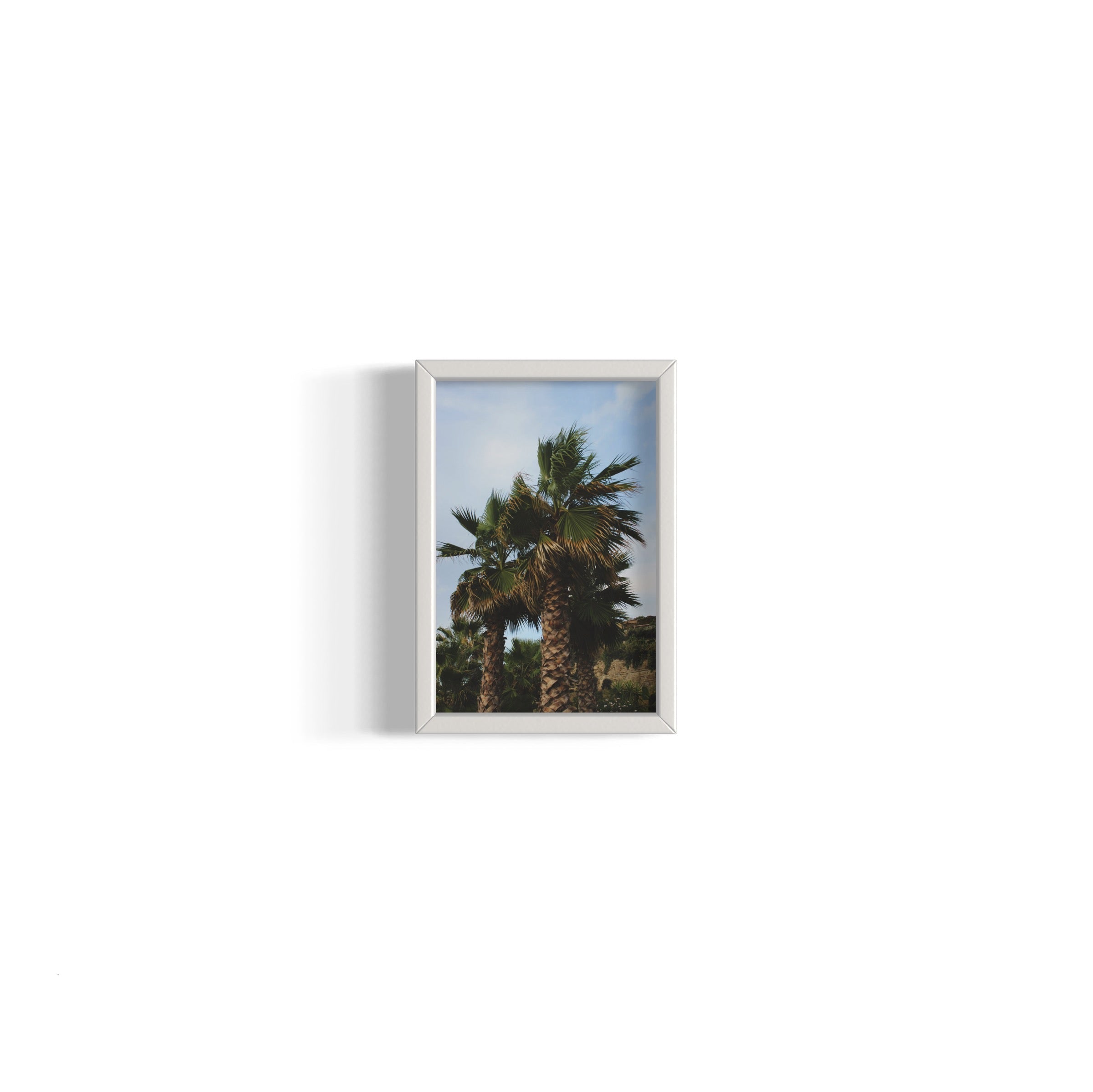 Tropical Club