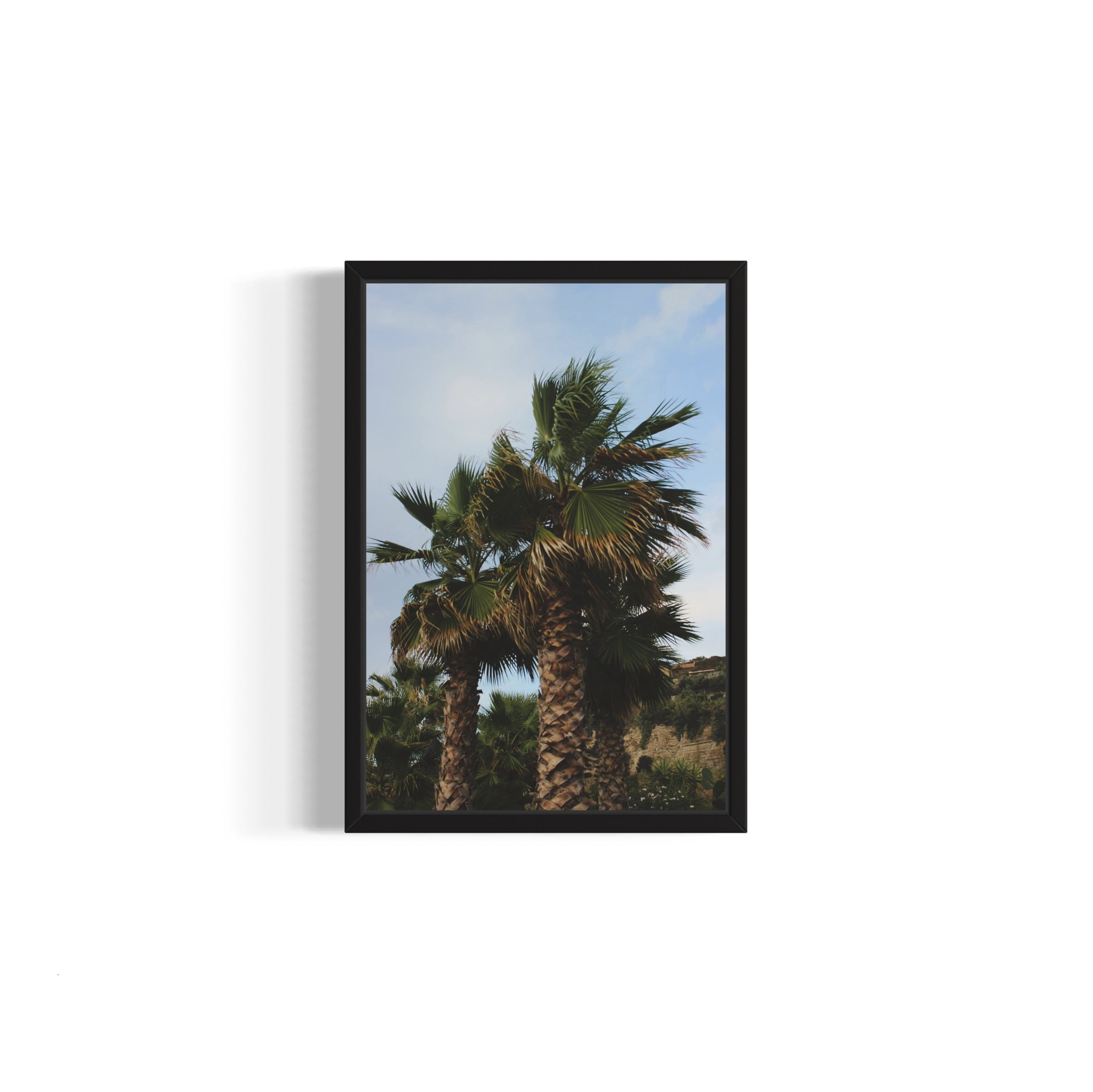 Tropical Club
