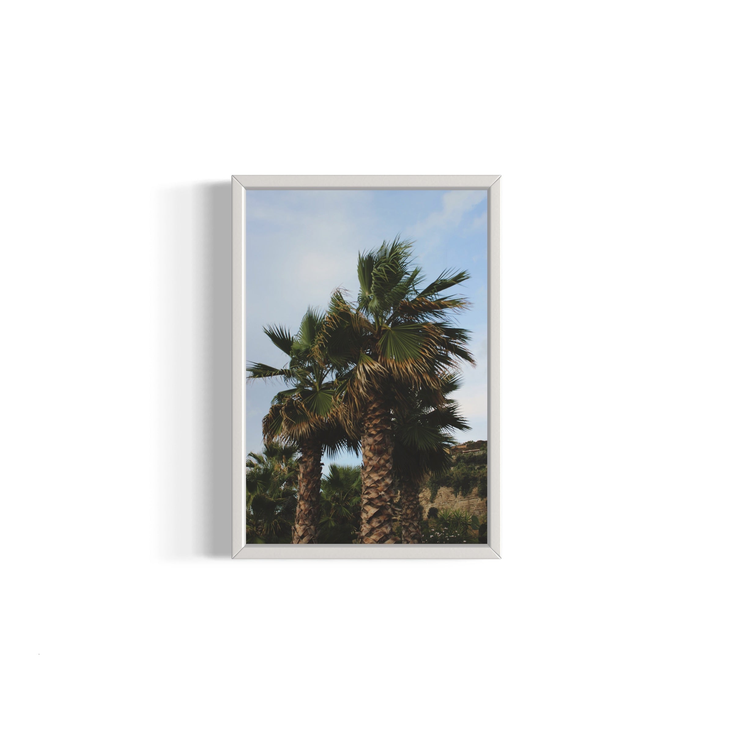 Tropical Club