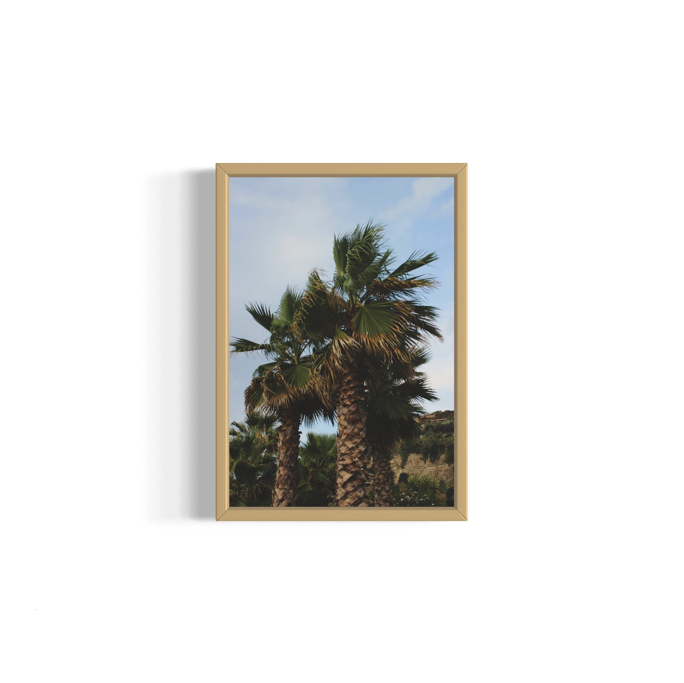 Tropical Club