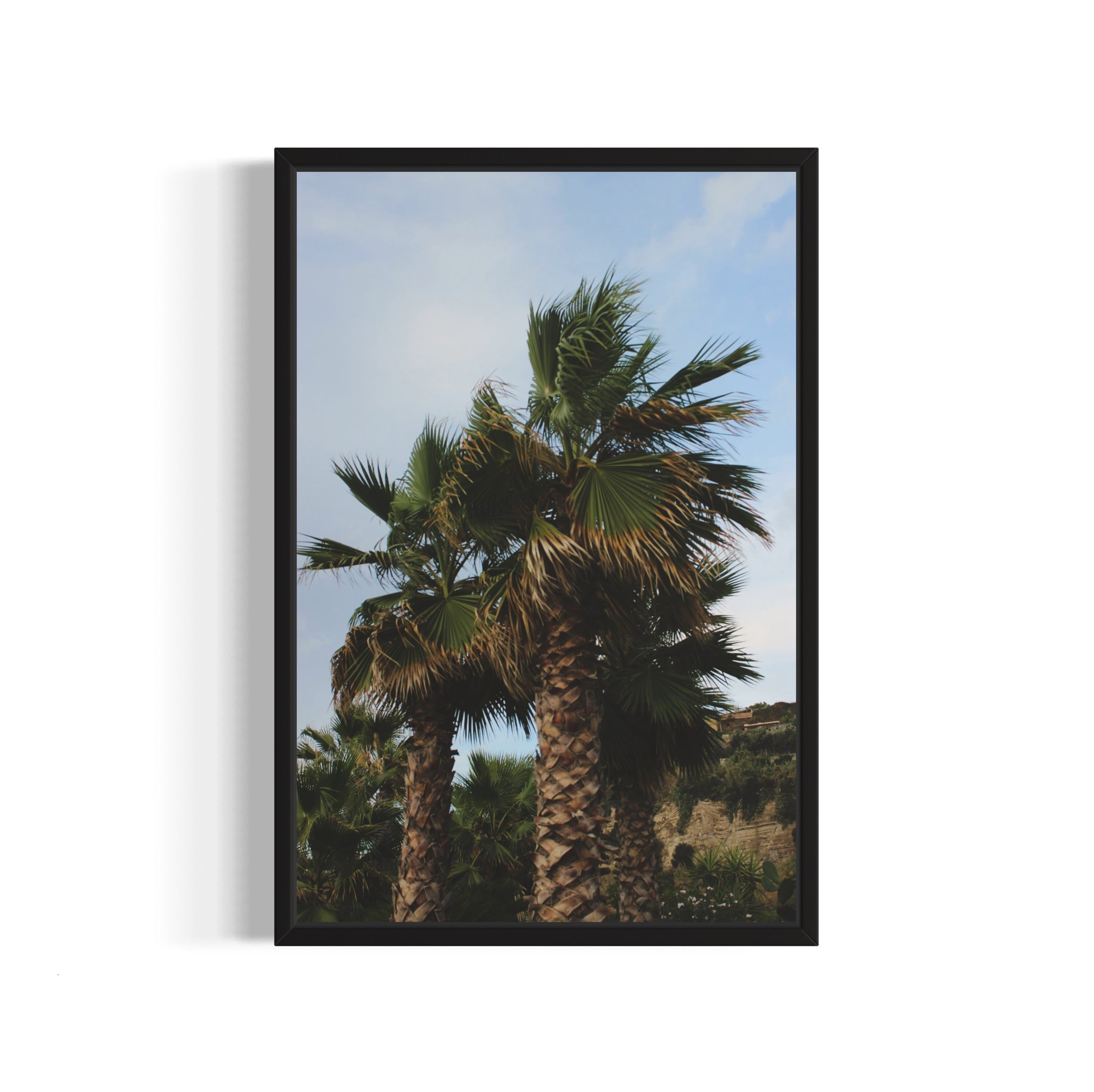Tropical Club