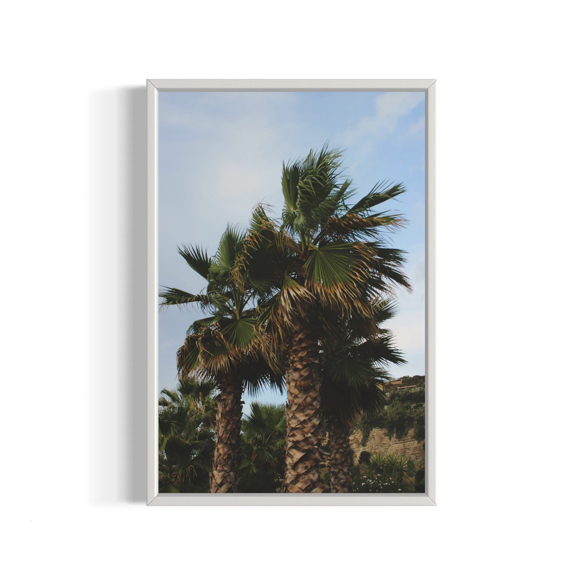 Tropical Club