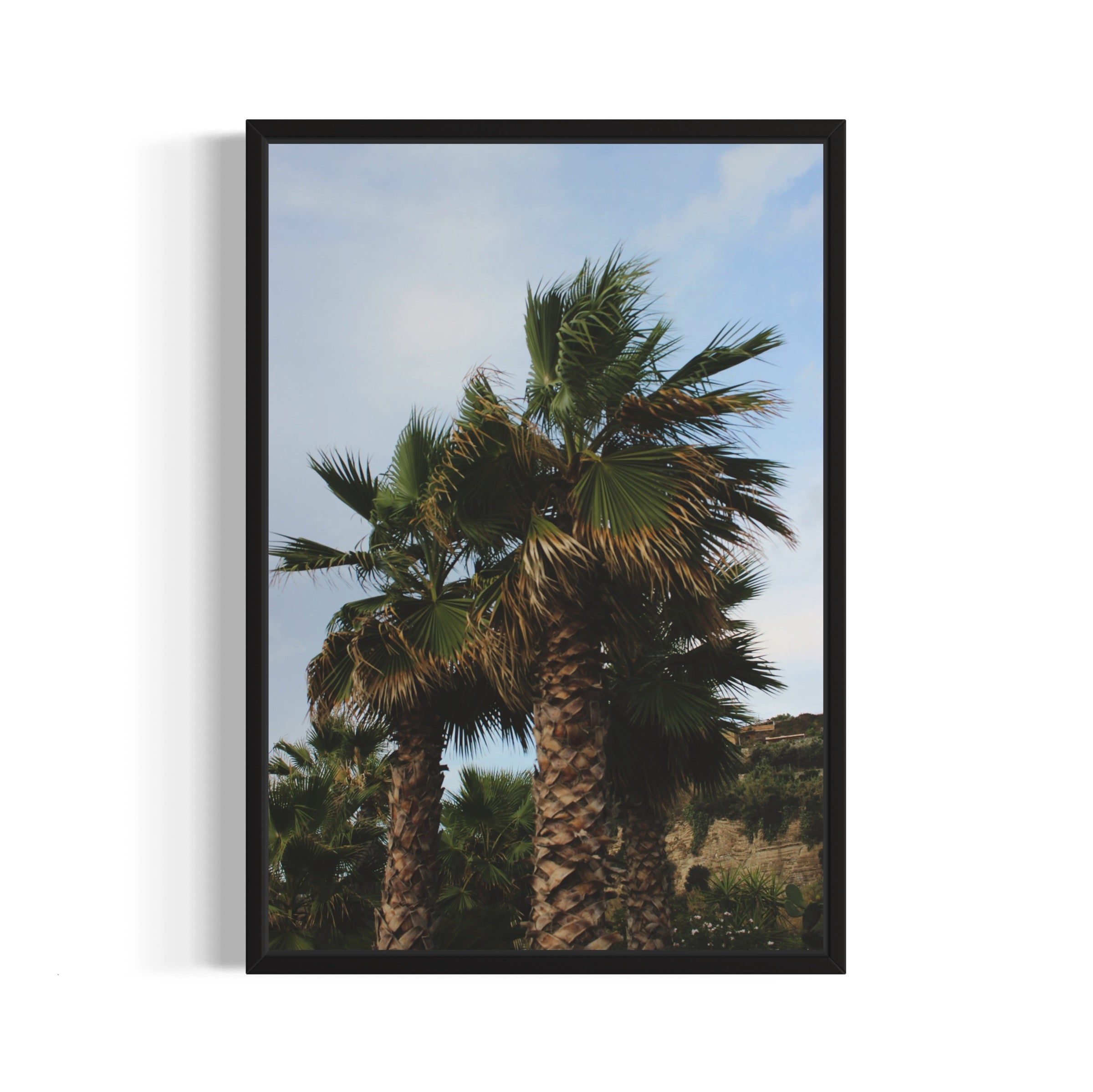 Tropical Club