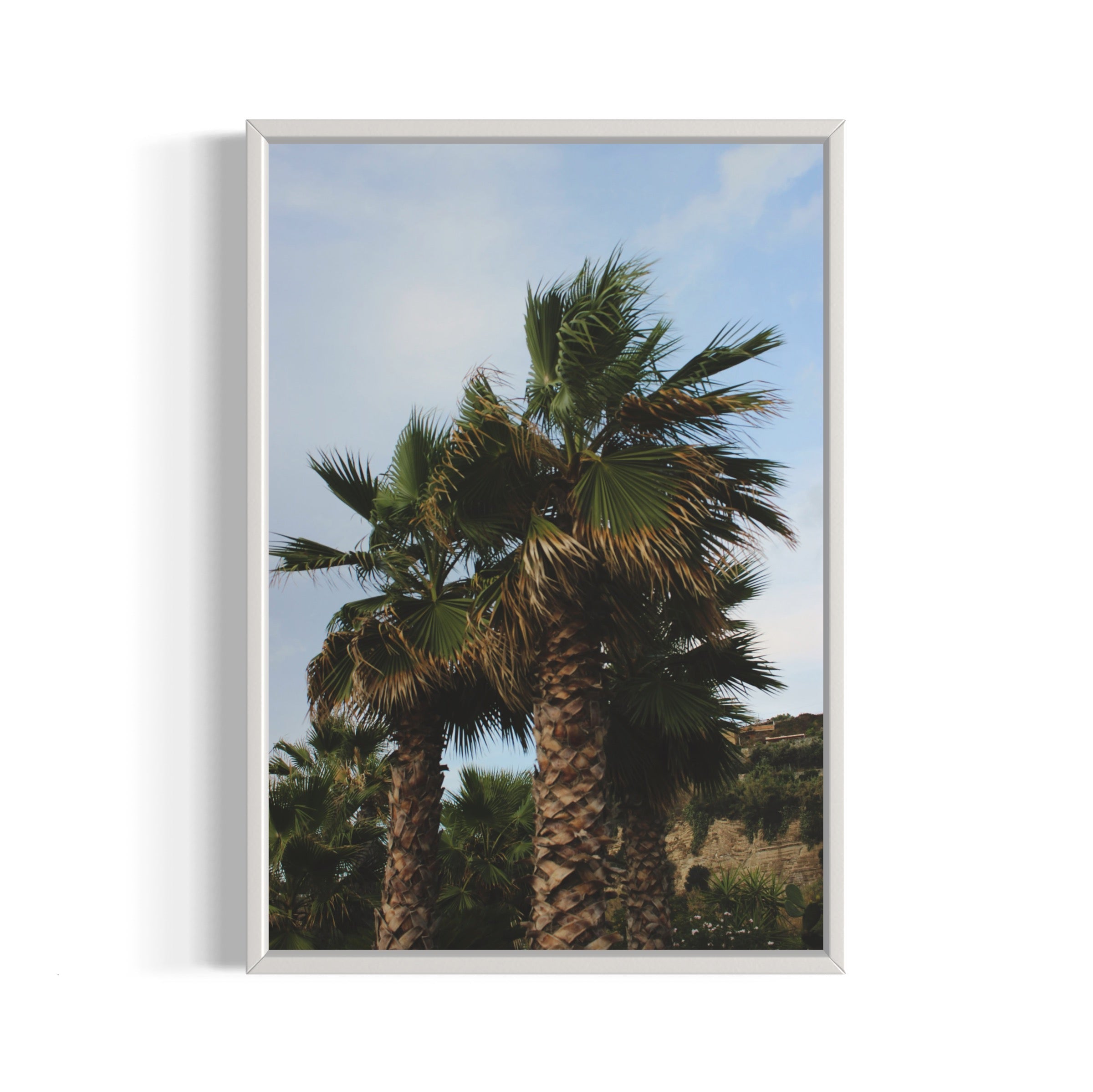 Tropical Club