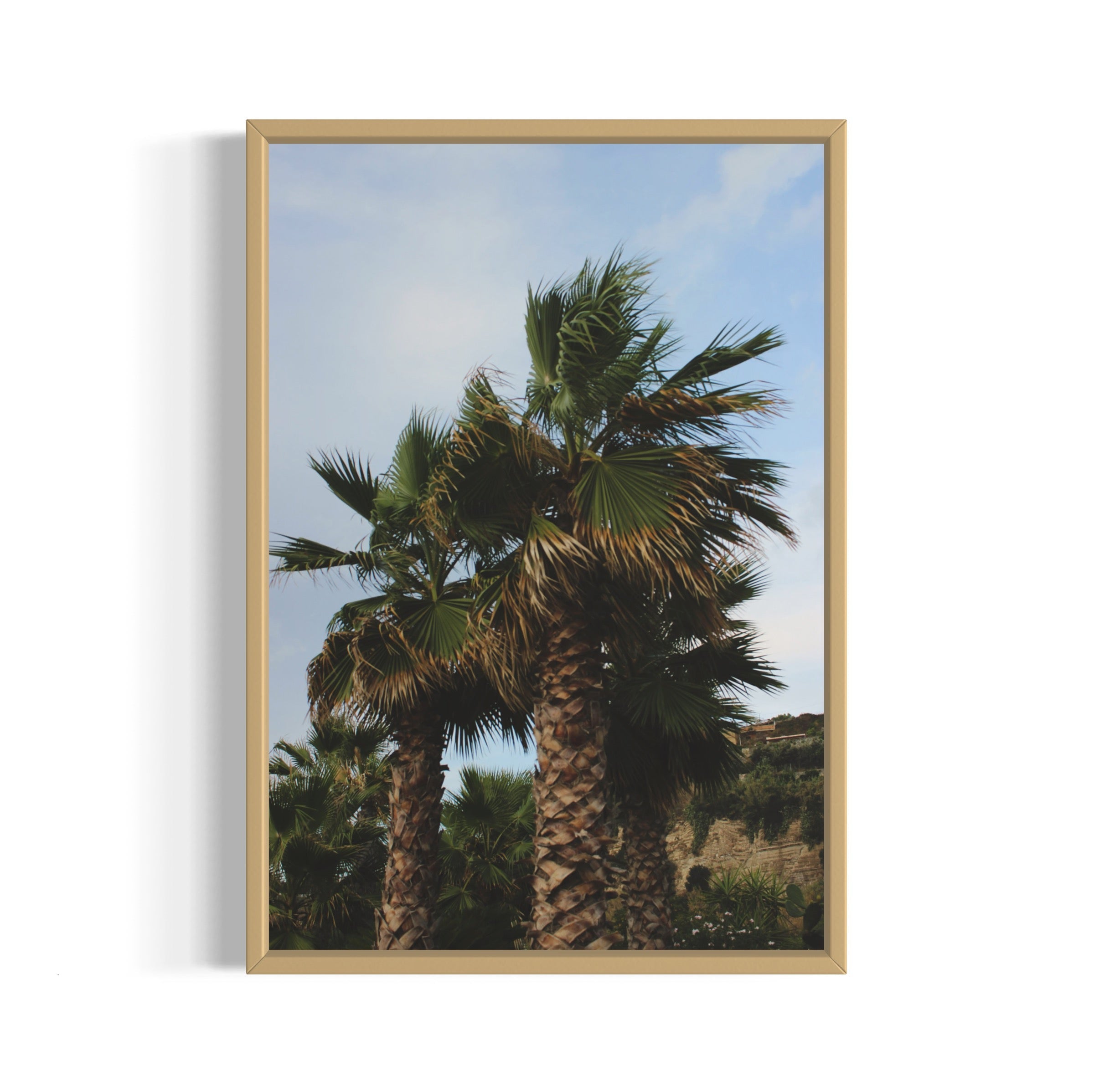 Tropical Club