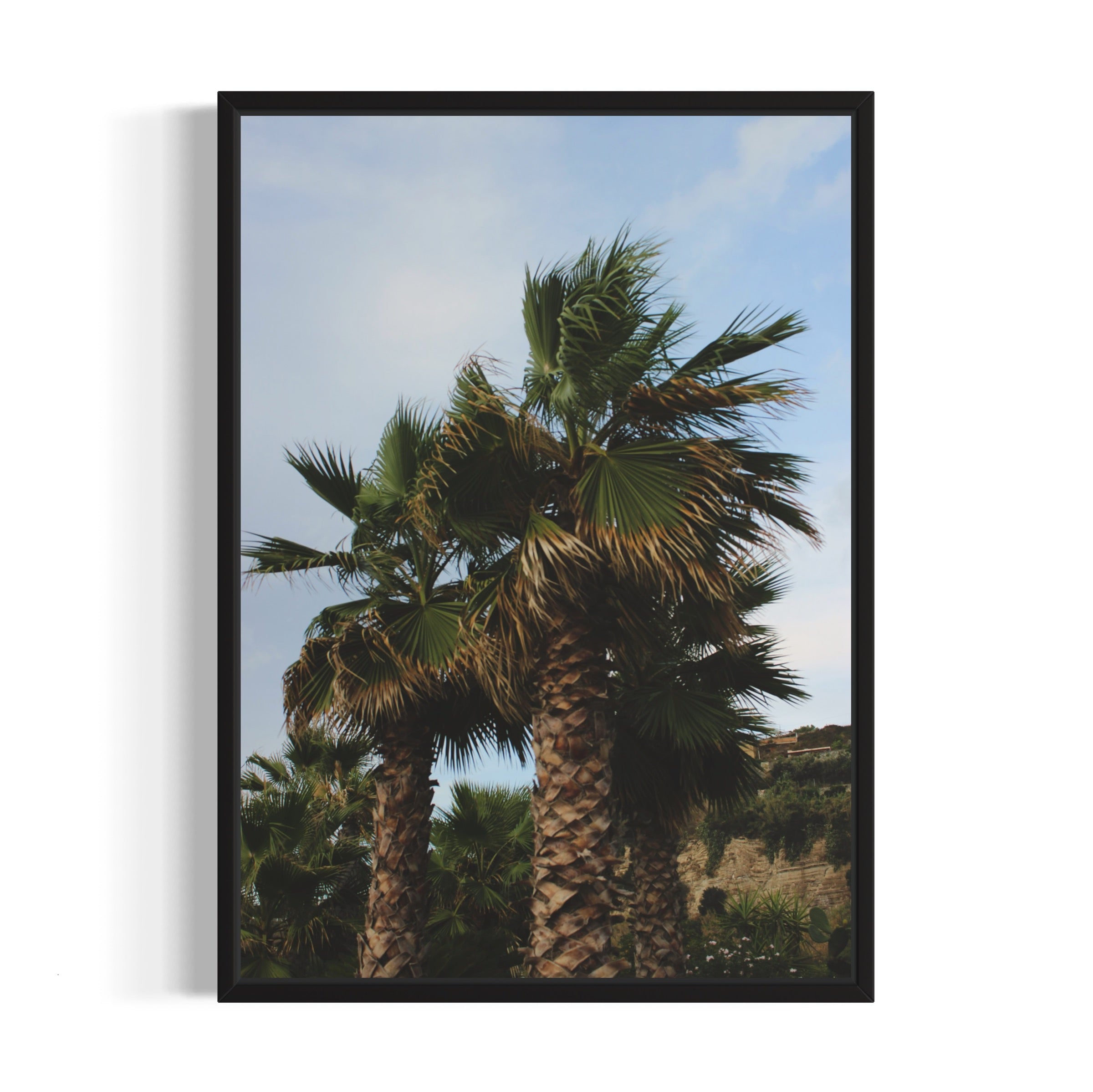 Tropical Club
