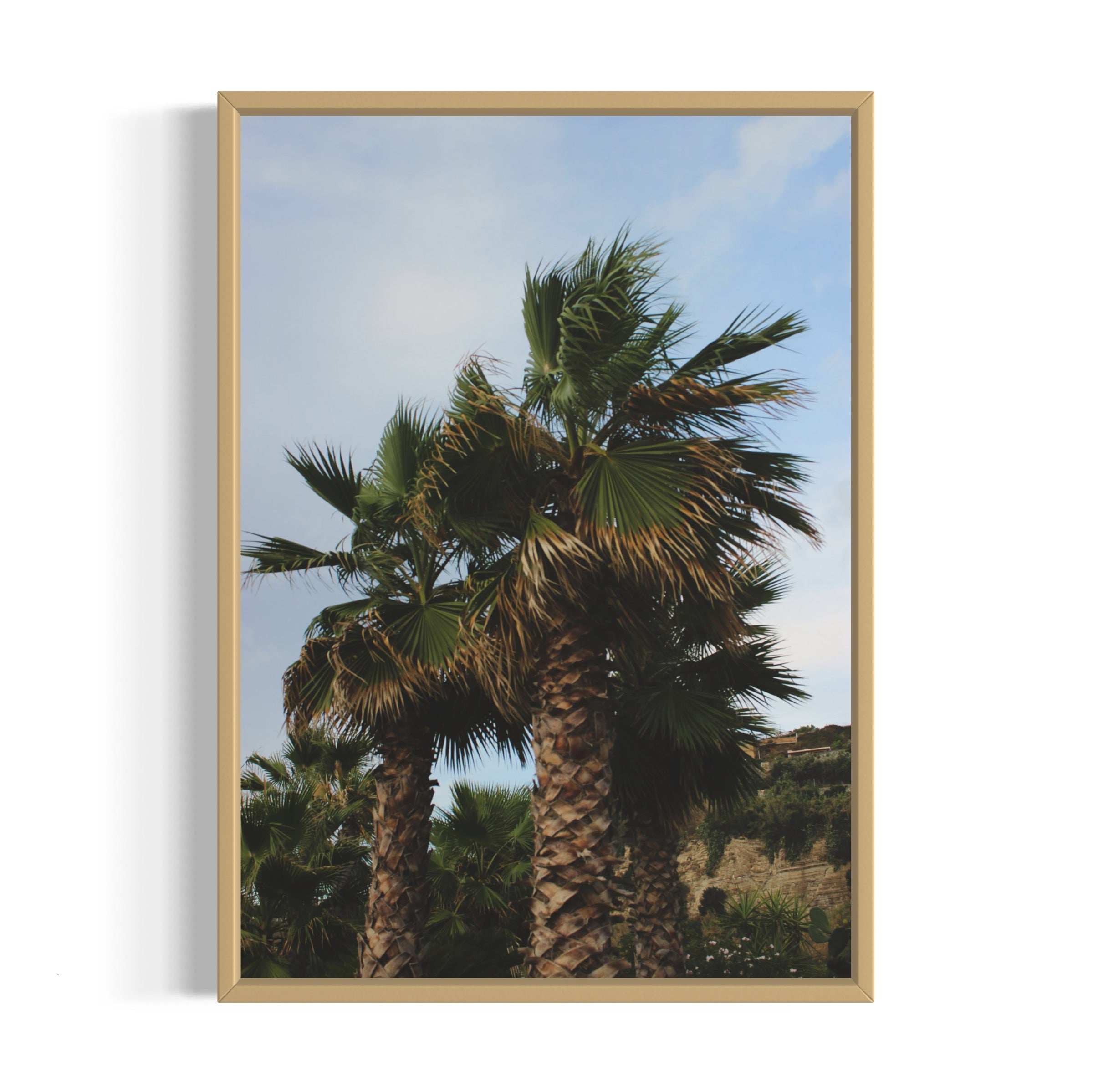 Tropical Club