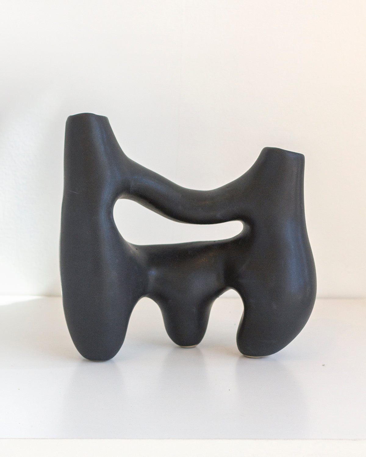 Symbiosis Clay Vase - Charcoal Black - Arte House