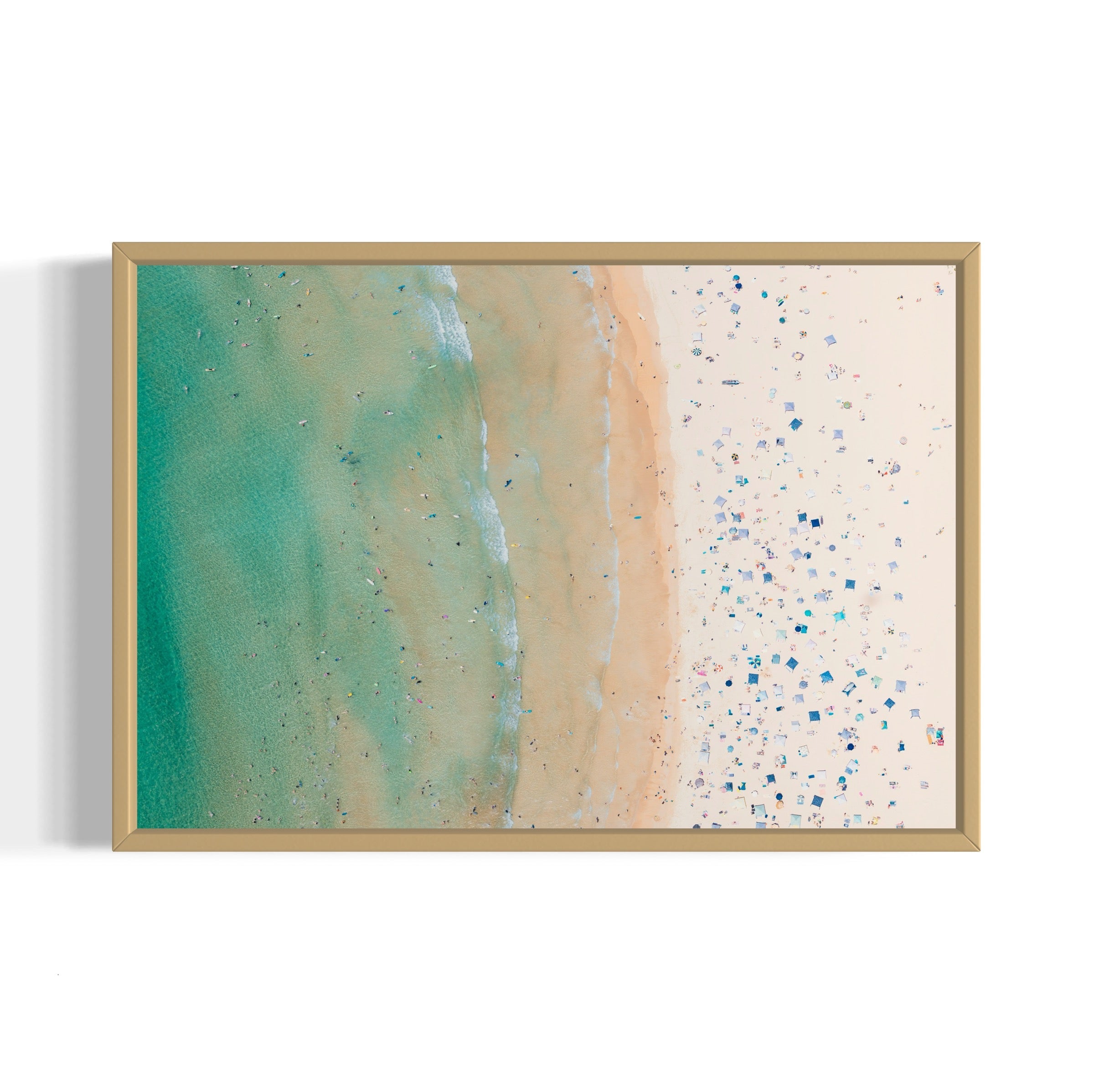 Freshwater Beach - Arte House