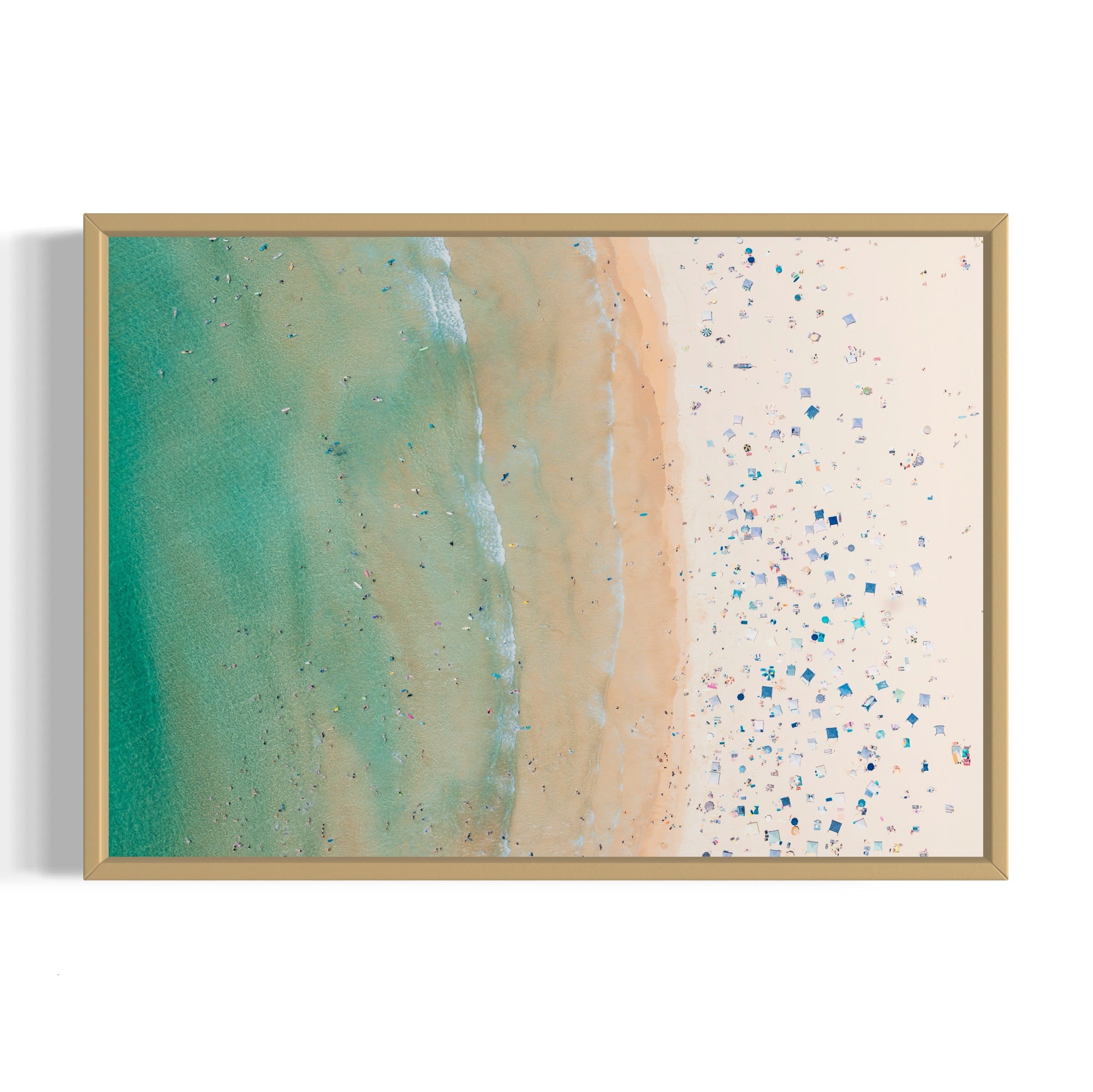 Freshwater Beach - Arte House