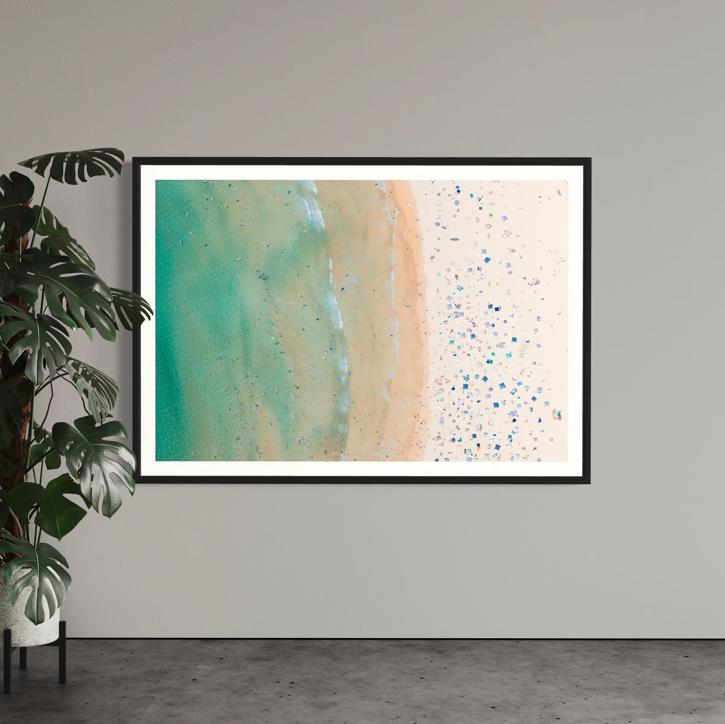 Freshwater Beach - Arte House